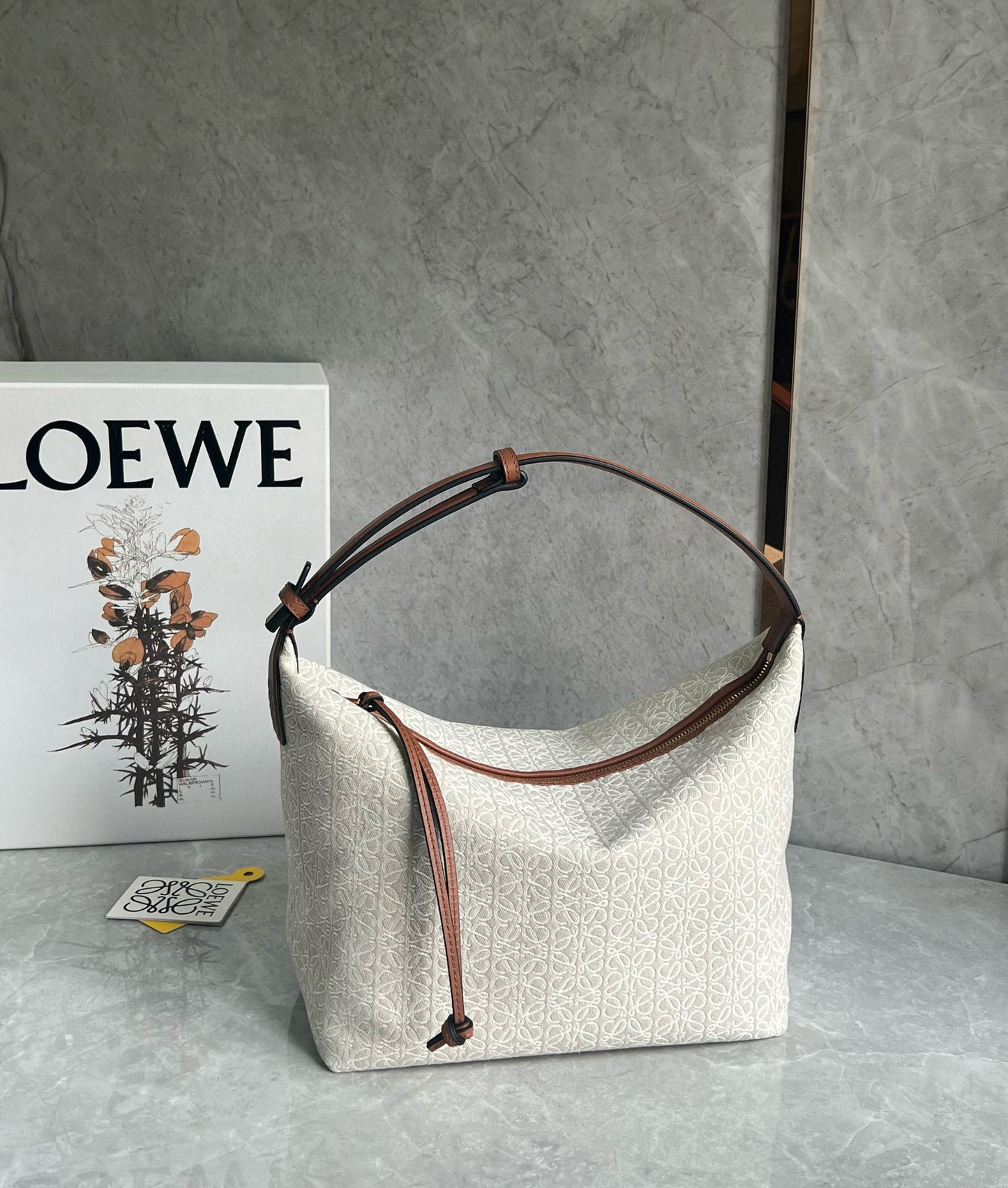 Loewe Cubi Lunch Bag(27x21x16.5cm)