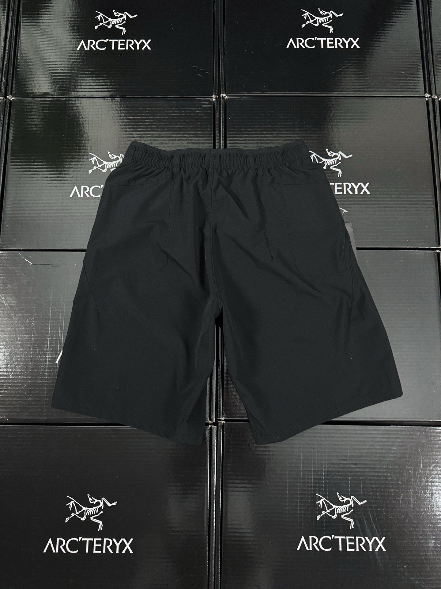Arcteryx Short