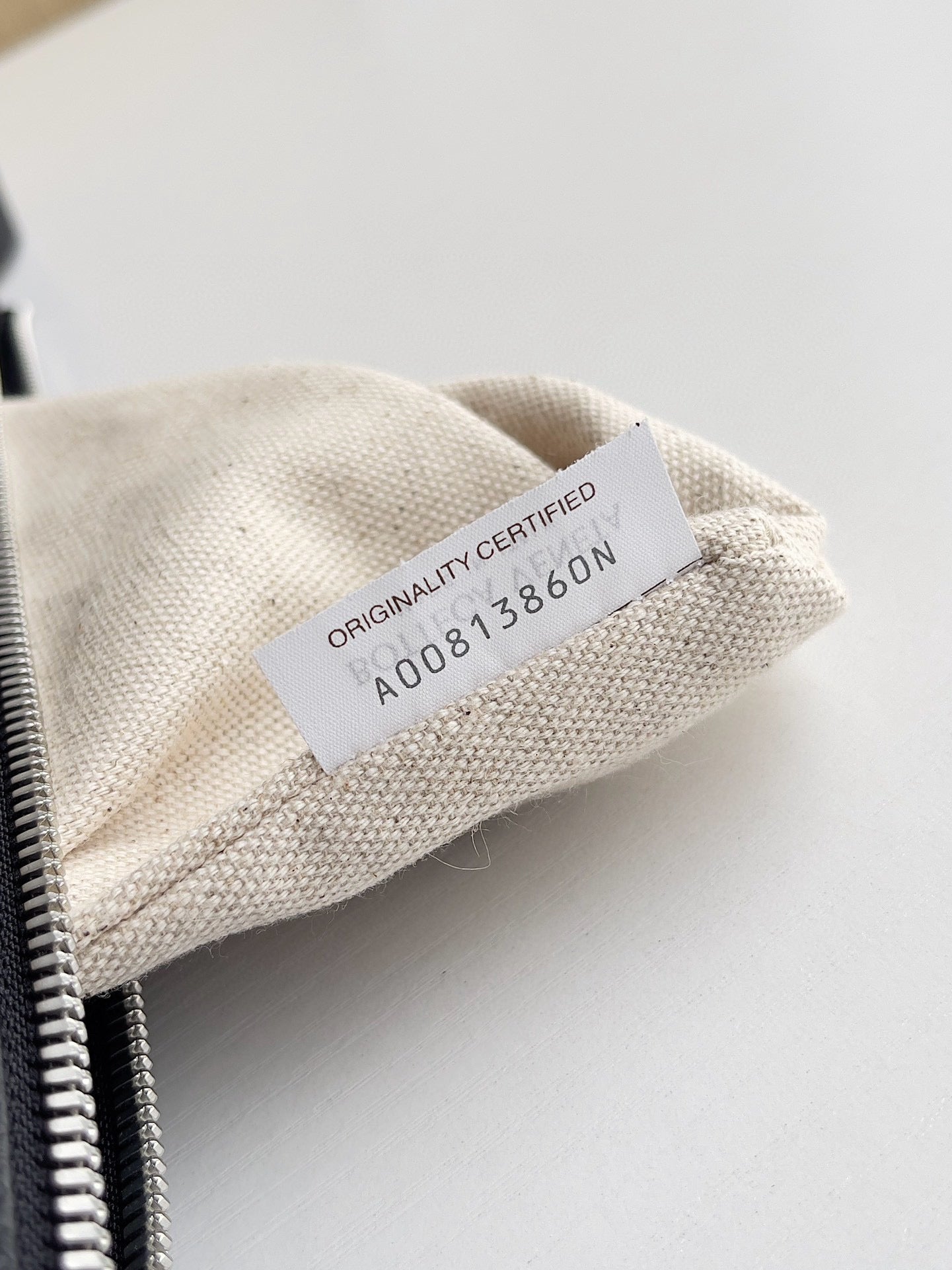 Bottega Veneta Diago Hobo Bag