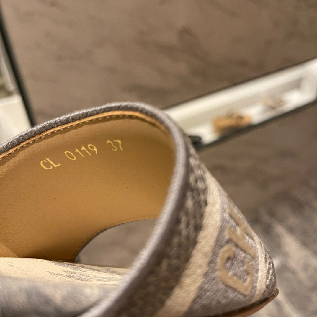 Dior Slides