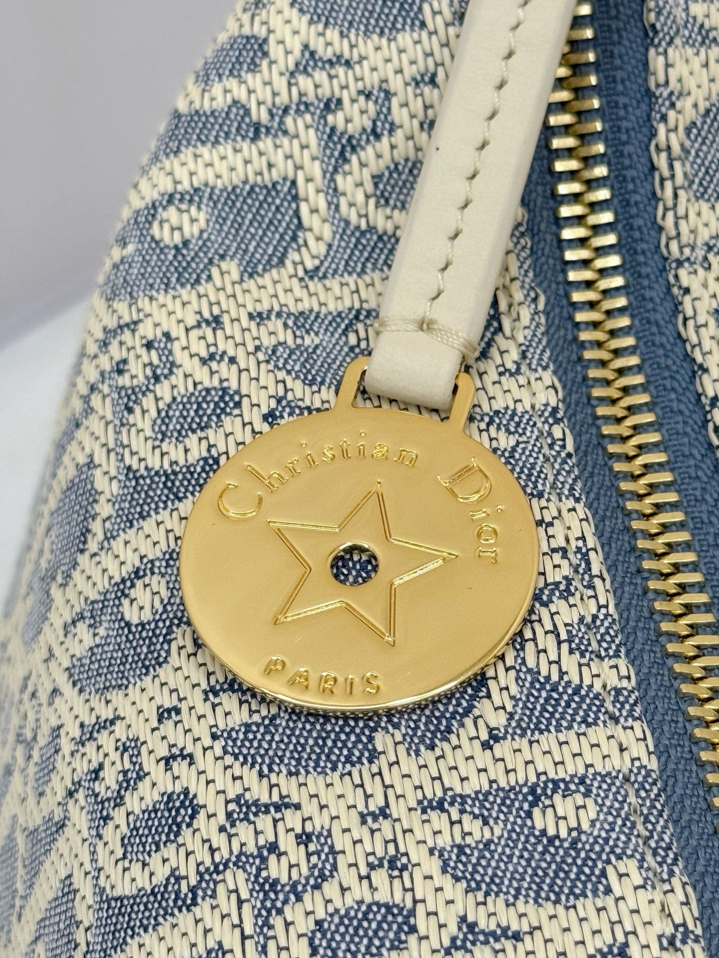 Dior Hobo Bag