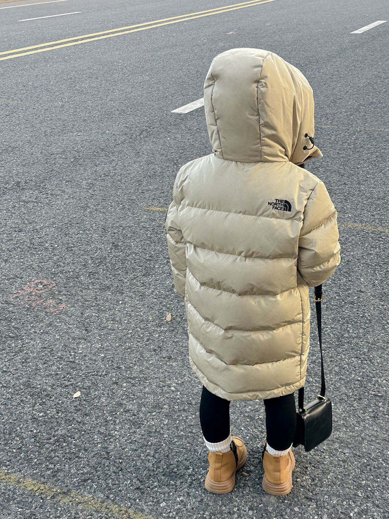 The North Face Down Jacket