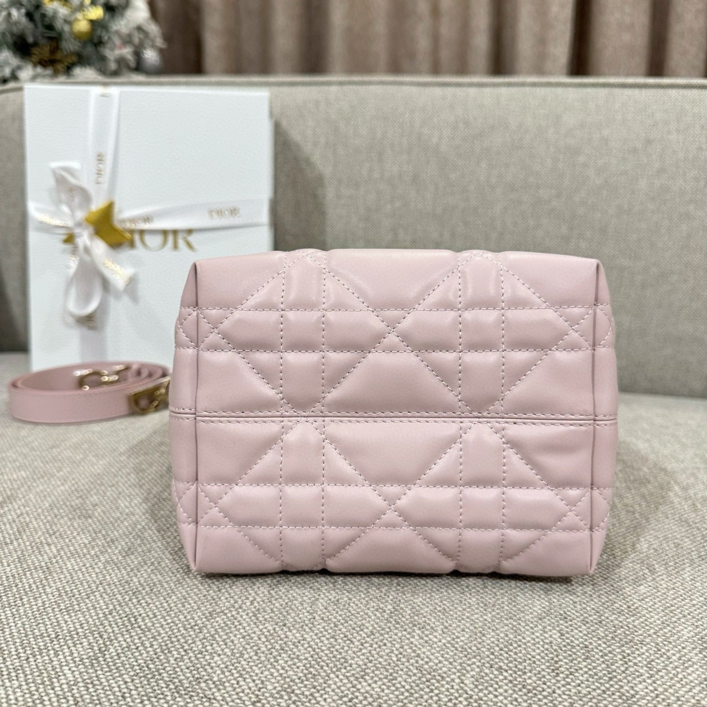Dior Toujours Mini Bag