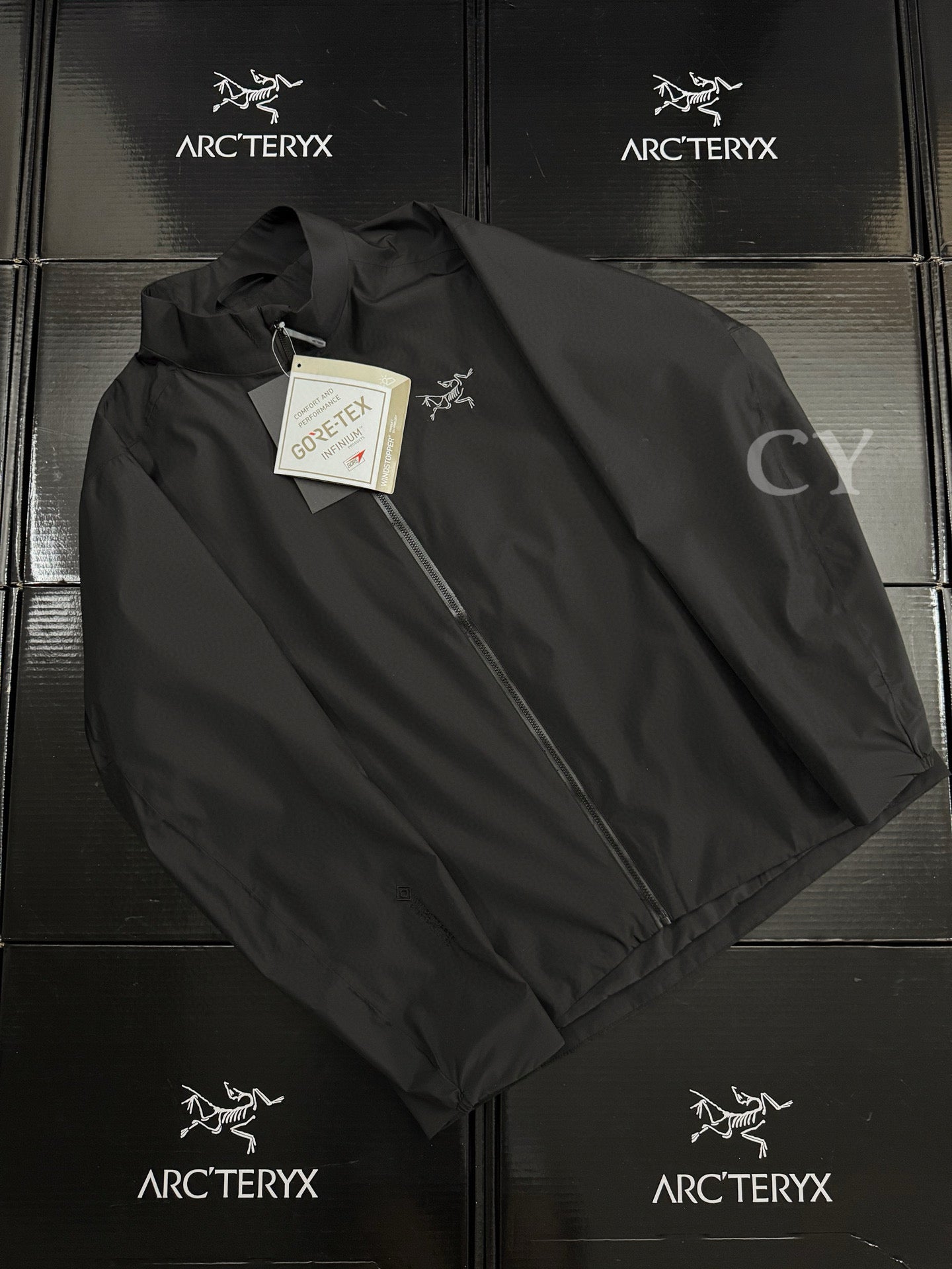 Arcteryx Jacket