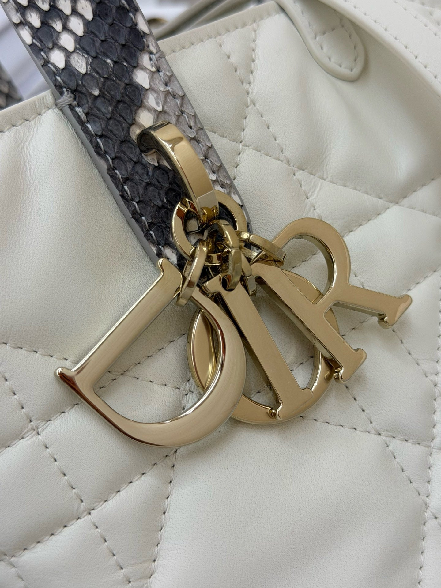 Dior Toujours Bag