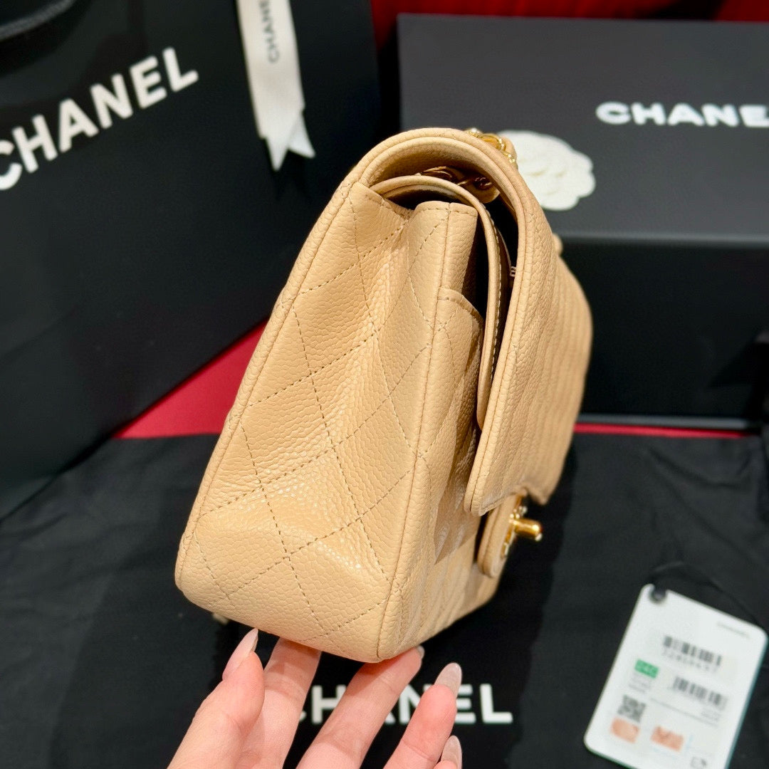 Chanel Classic Flap 25 (Medium)