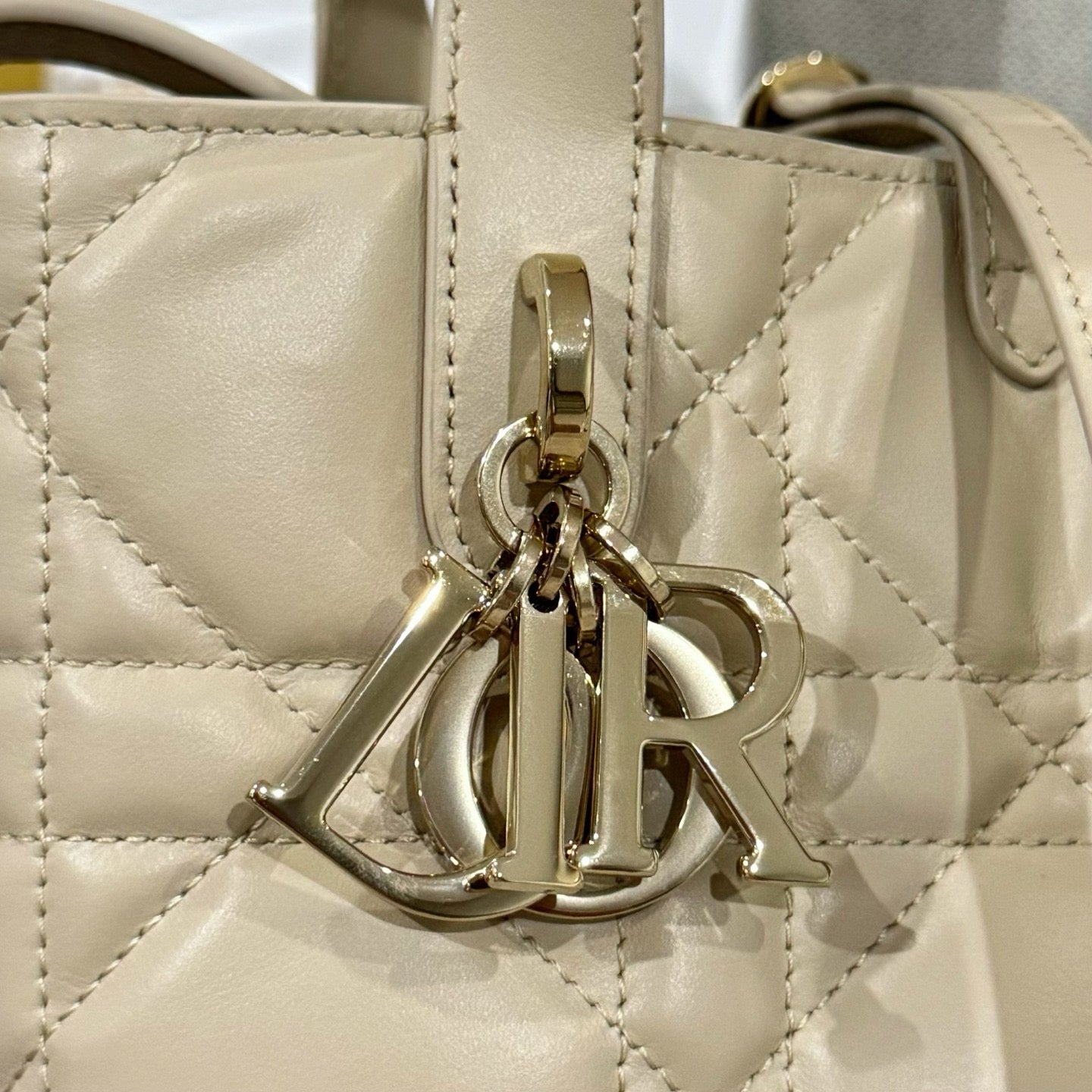 Dior Toujours Mini Bag