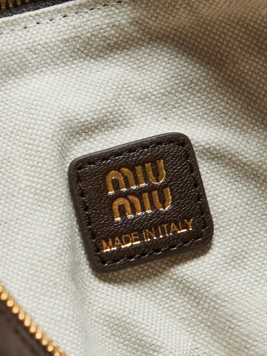Miu Miu Case Bag