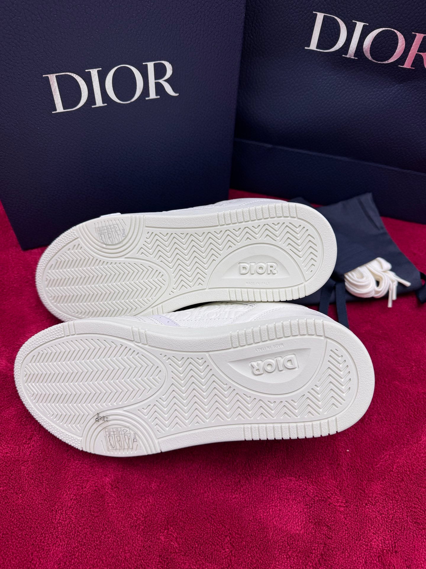 Dior Sneaker