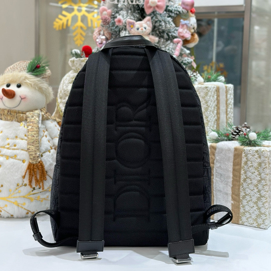 Dior Backpack