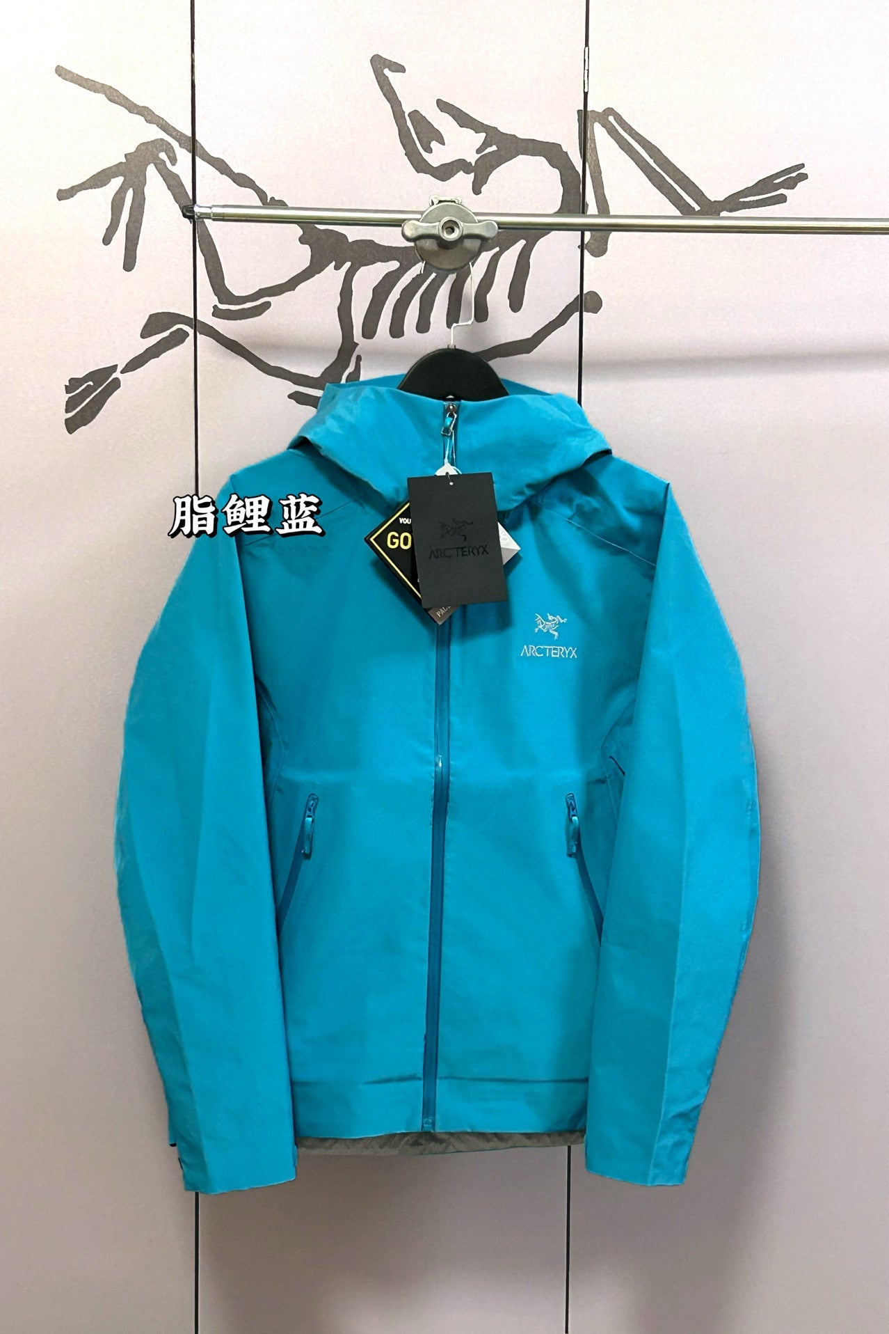 Arcteryx Jacket
