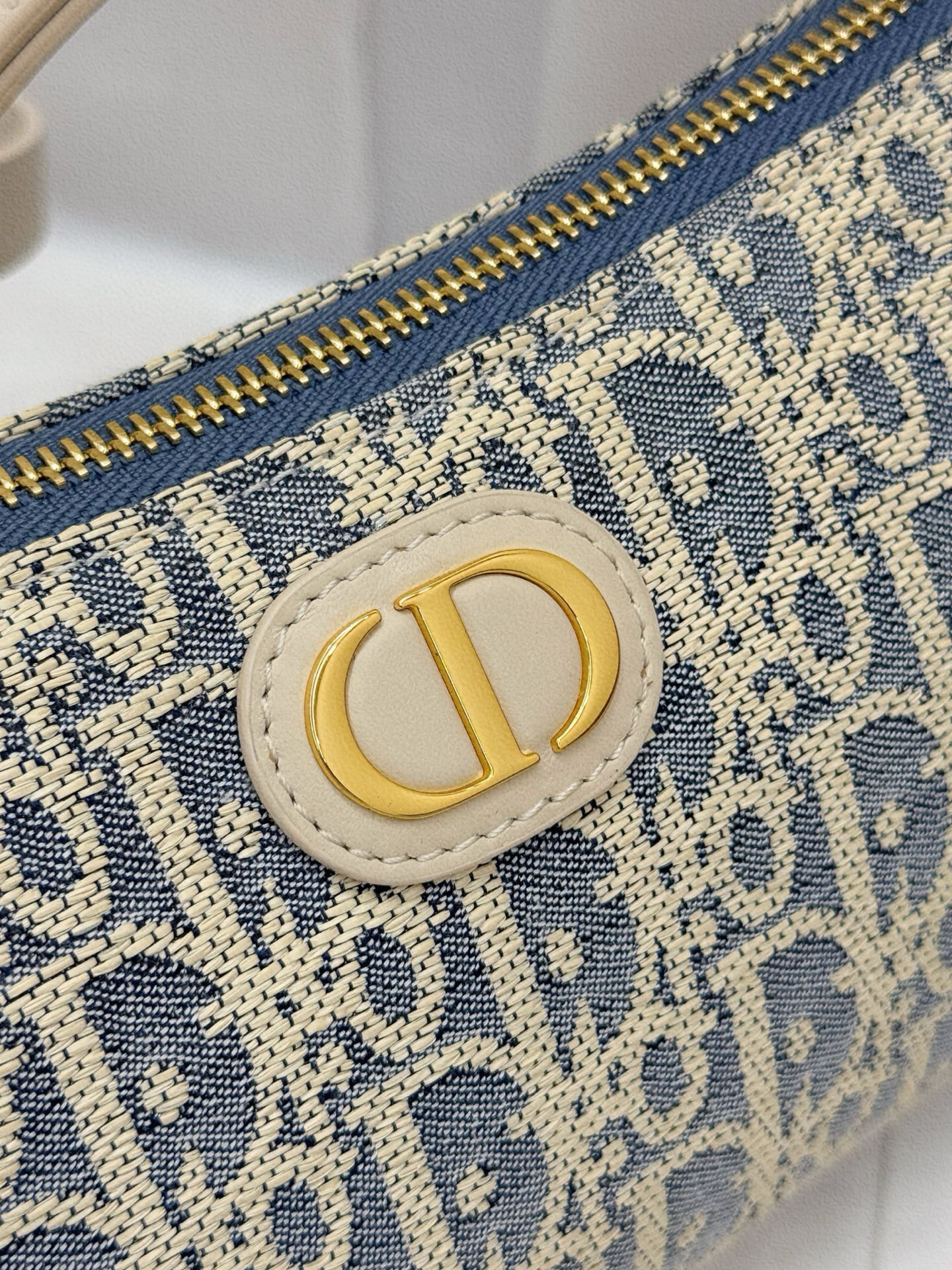 Dior Hobo Bag