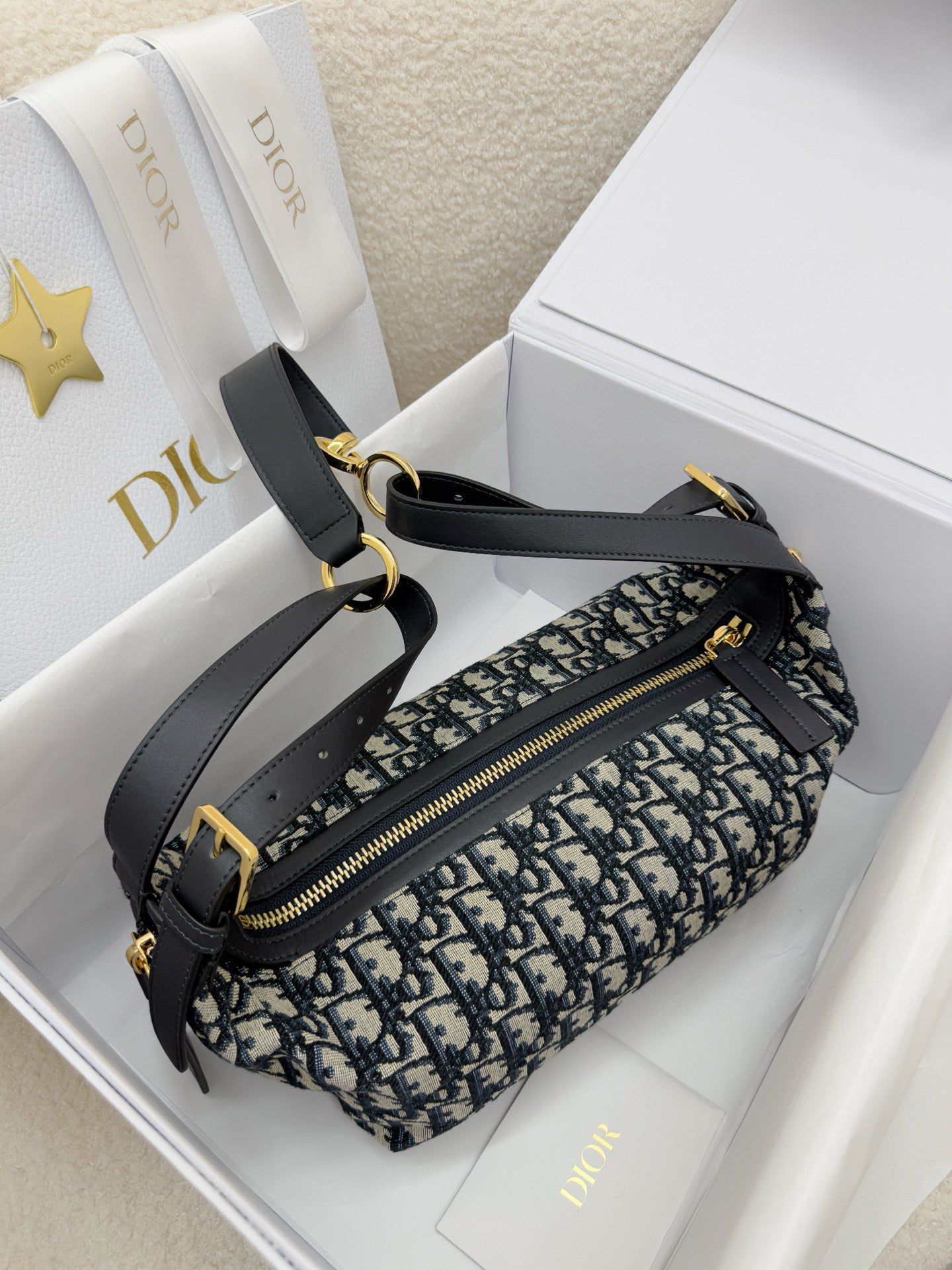 Dior Hobo Bag