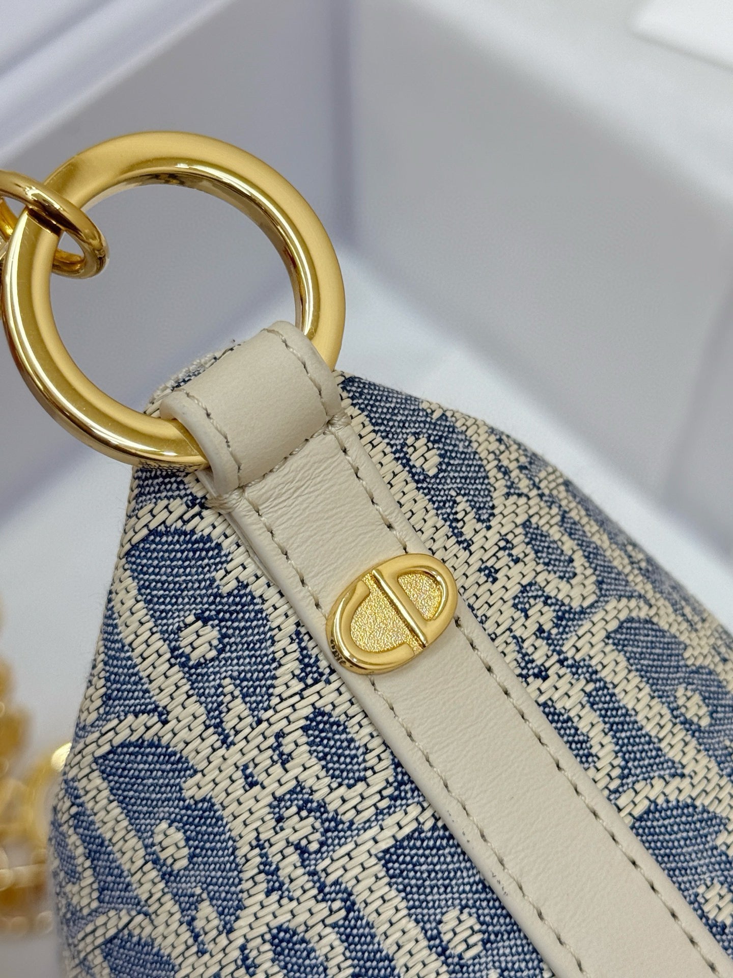 Dior Hobo Bag