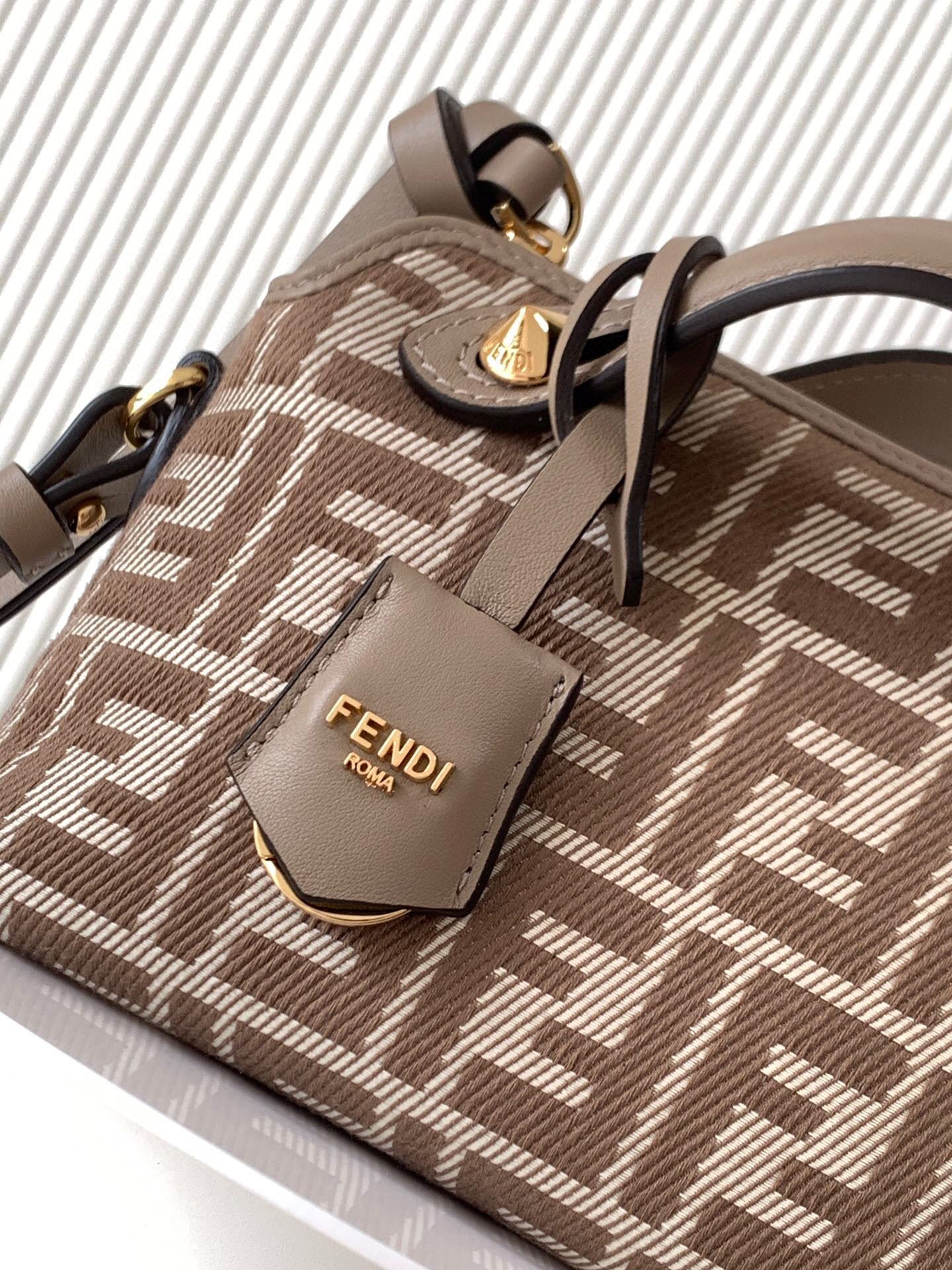 Fendi Sling bag (Mini)