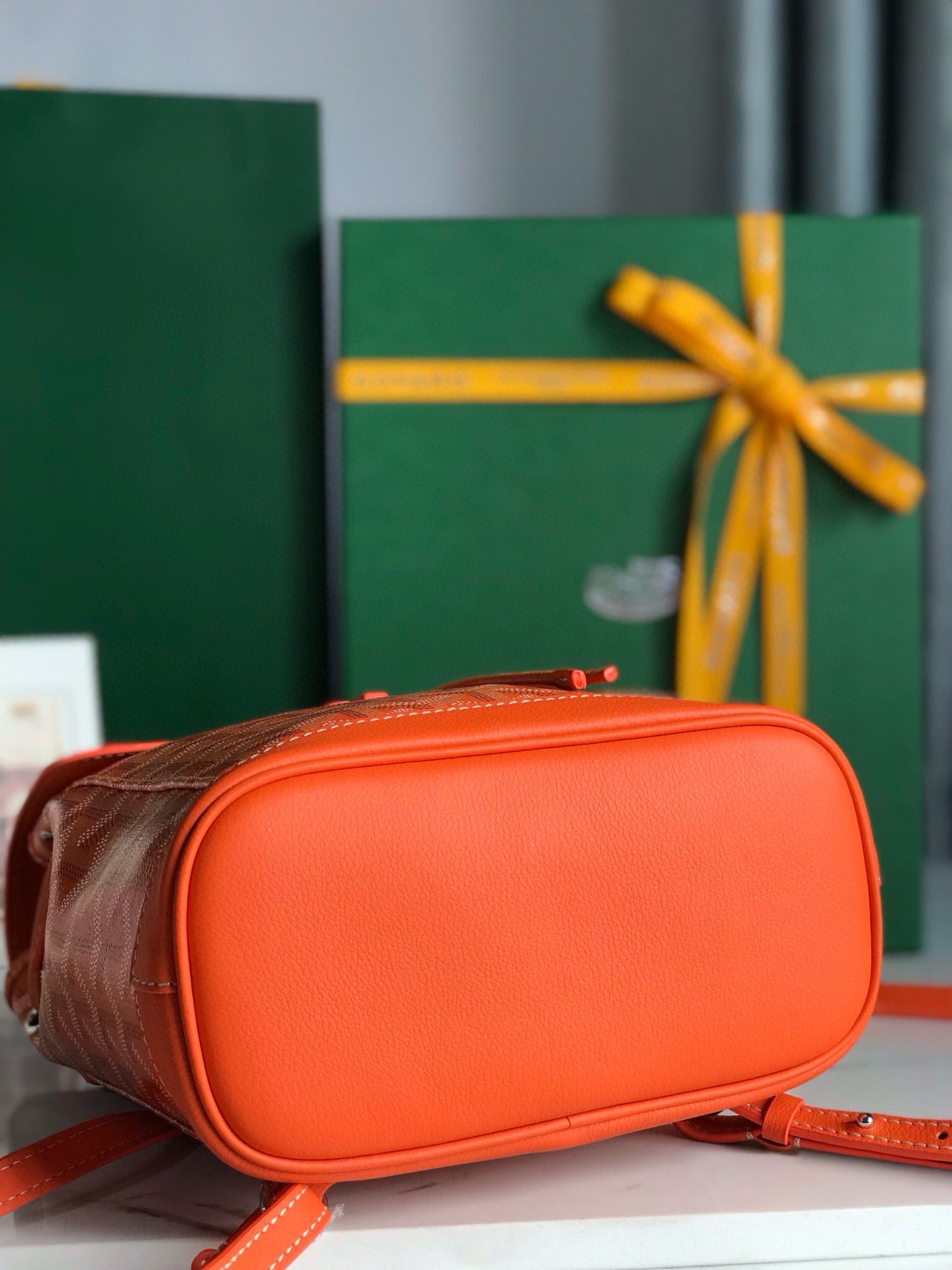 Goyard Mini Alpin Backpack