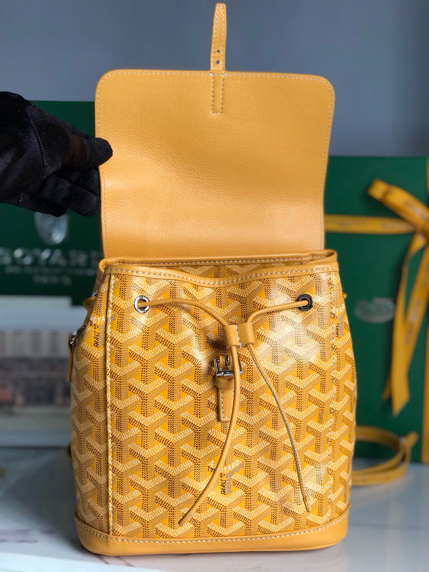 Goyard Mini Alpin Backpack
