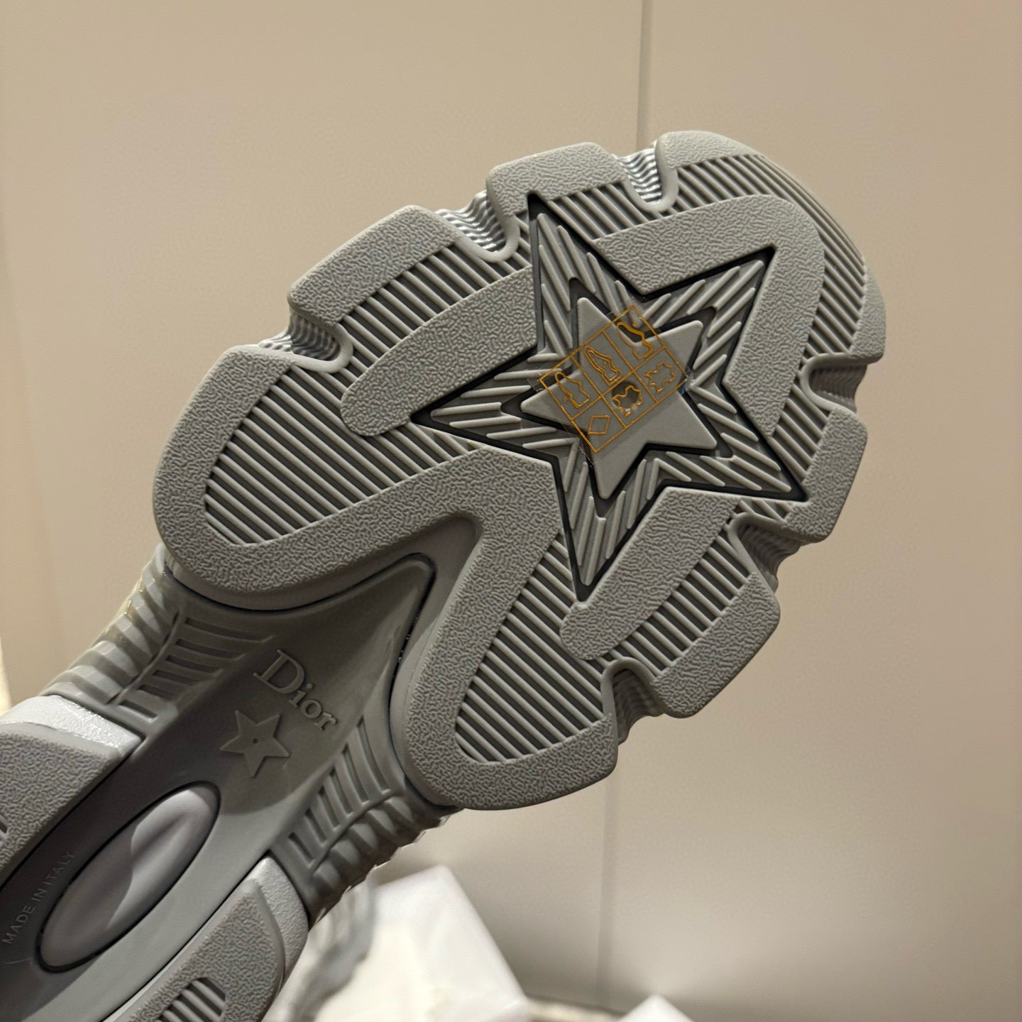 Dior Sneakers