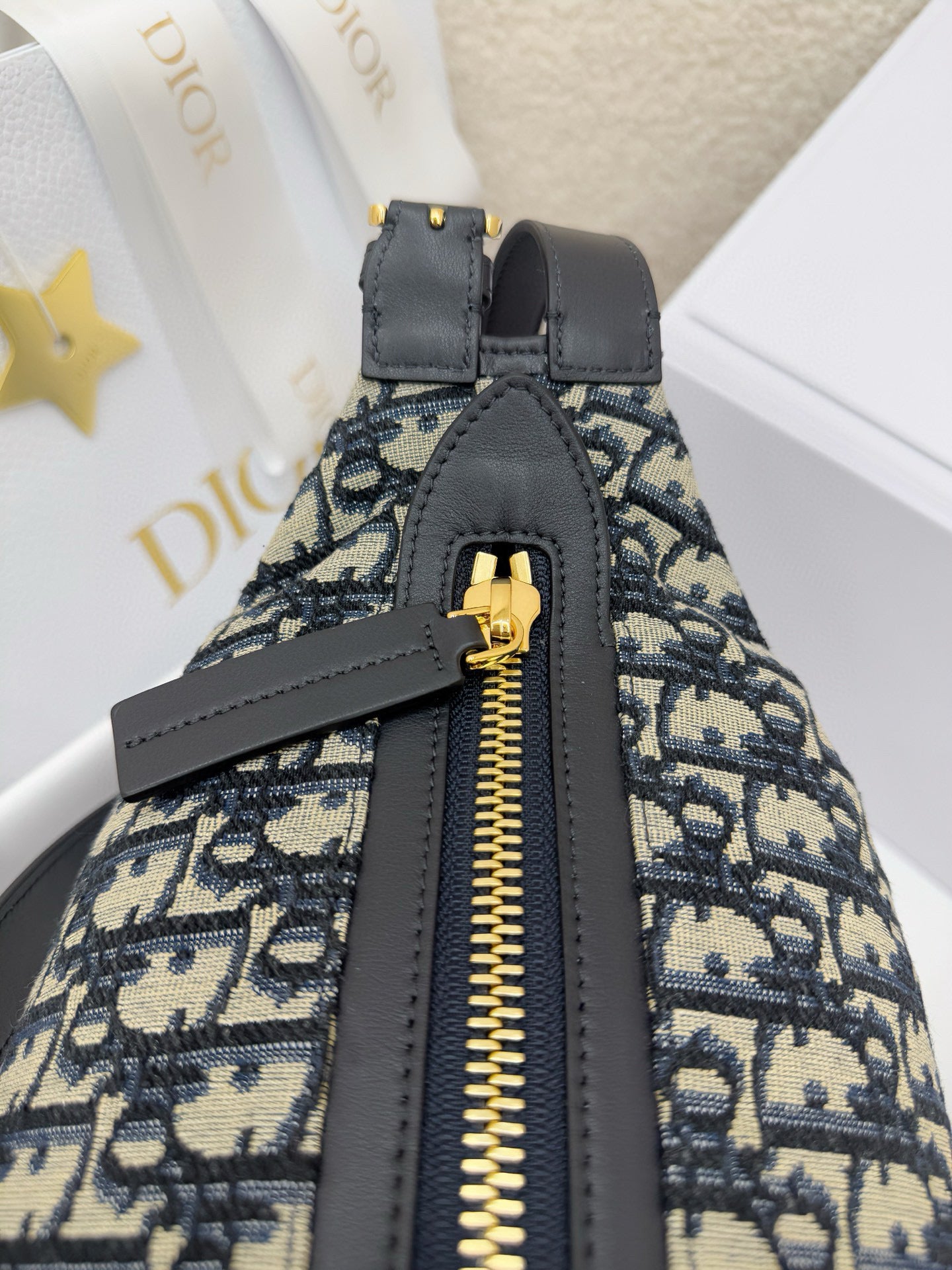 Dior Hobo Bag