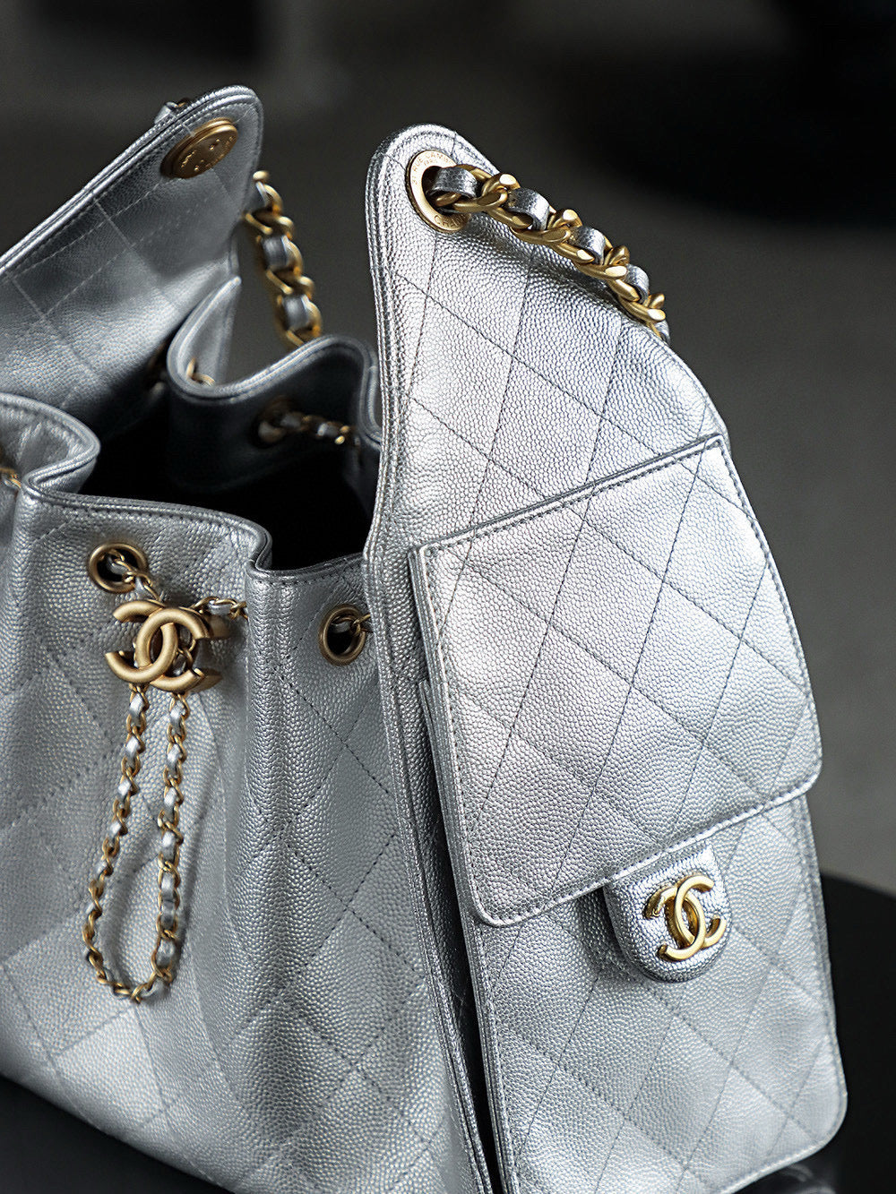 Chanel Hobo 25Bag (small)