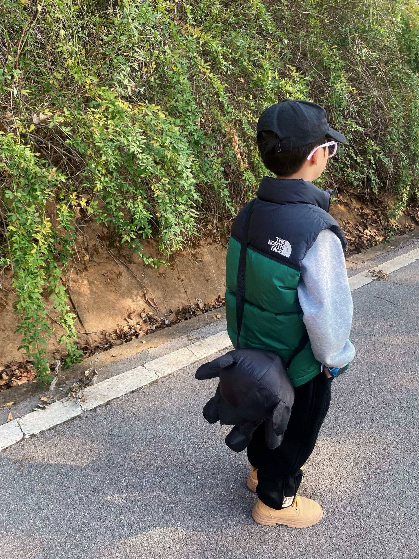 The North Face Insulated Vest Jacket