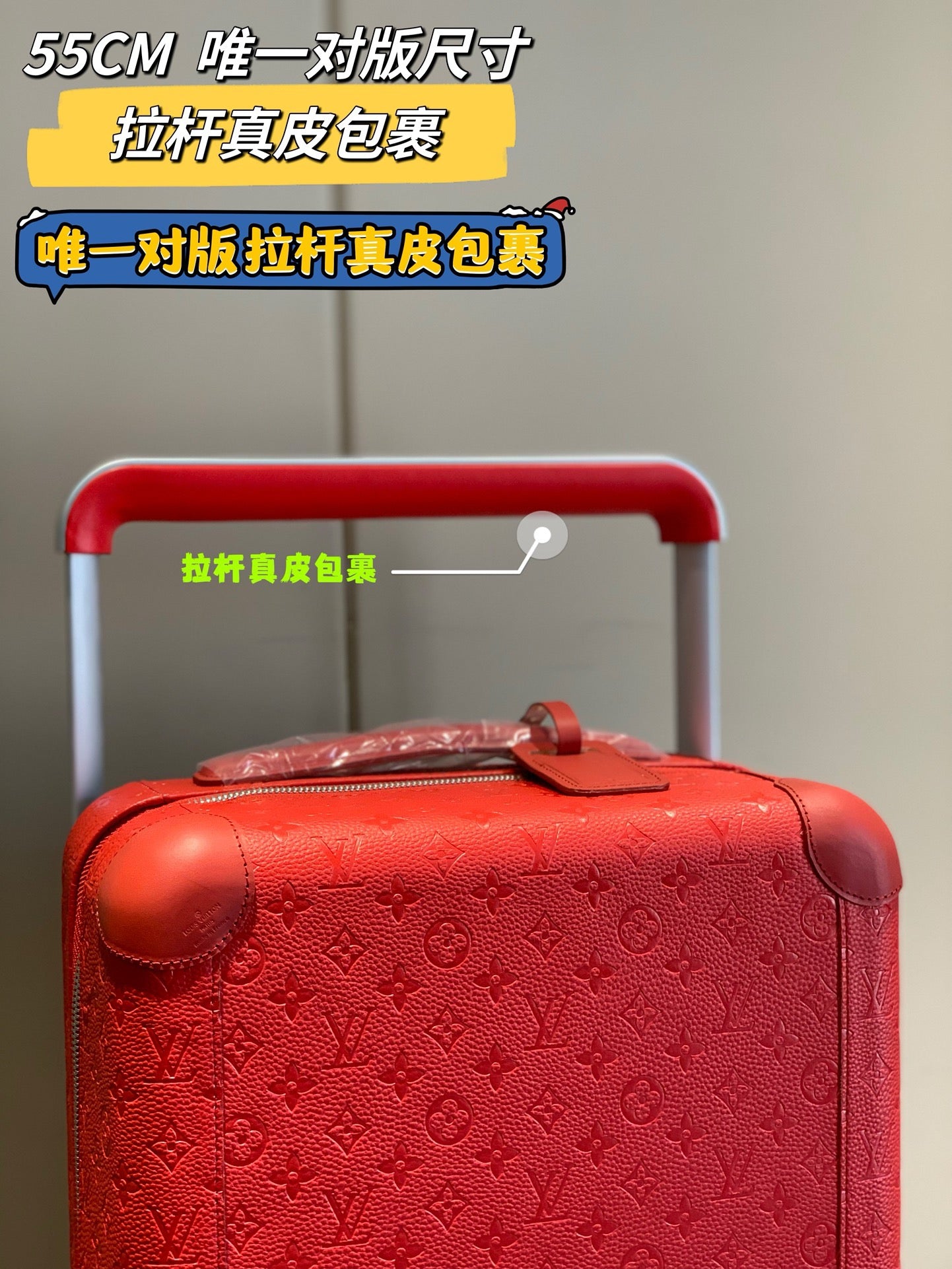 Louis Vuitton Luggages