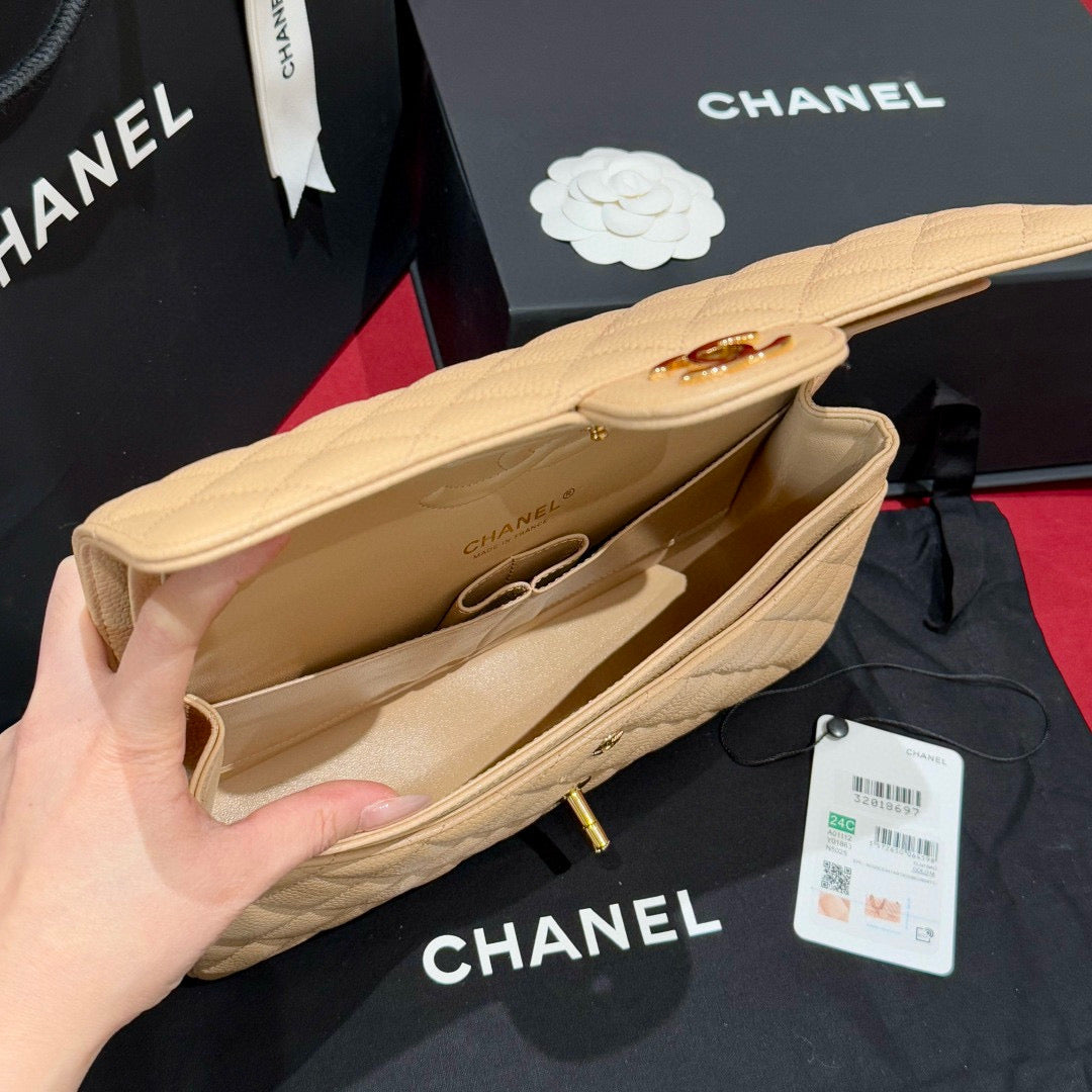 Chanel Classic Flap 25 (Medium)