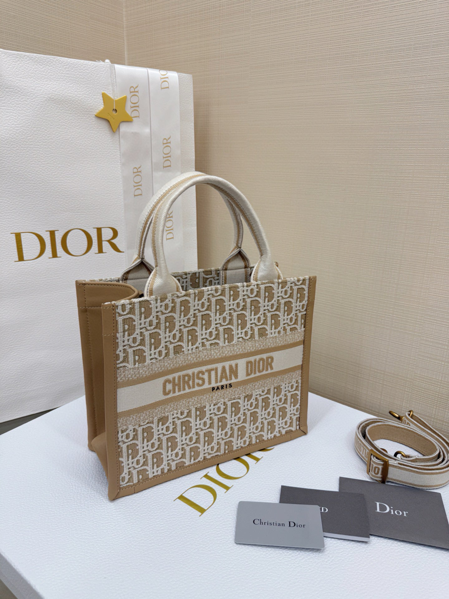 Dior Book Tote Bag