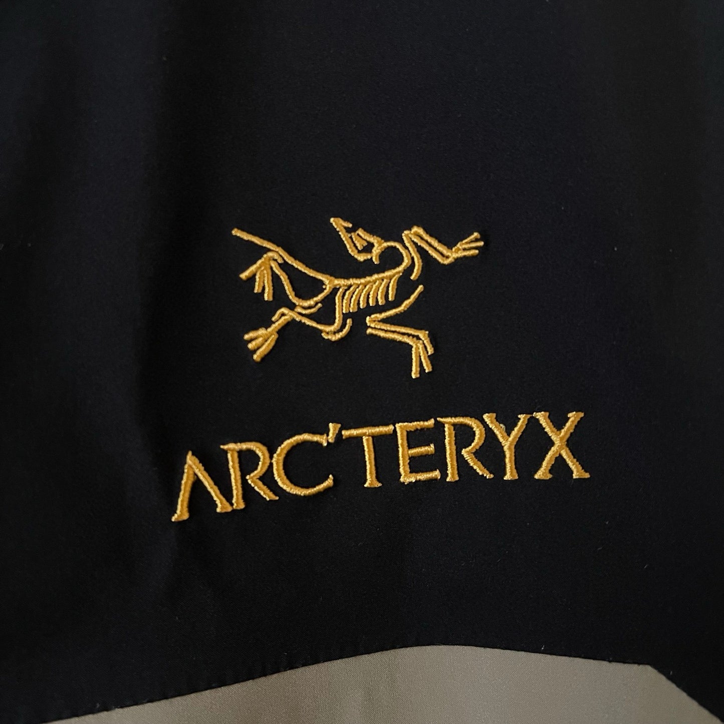 Arcteryx Jacket