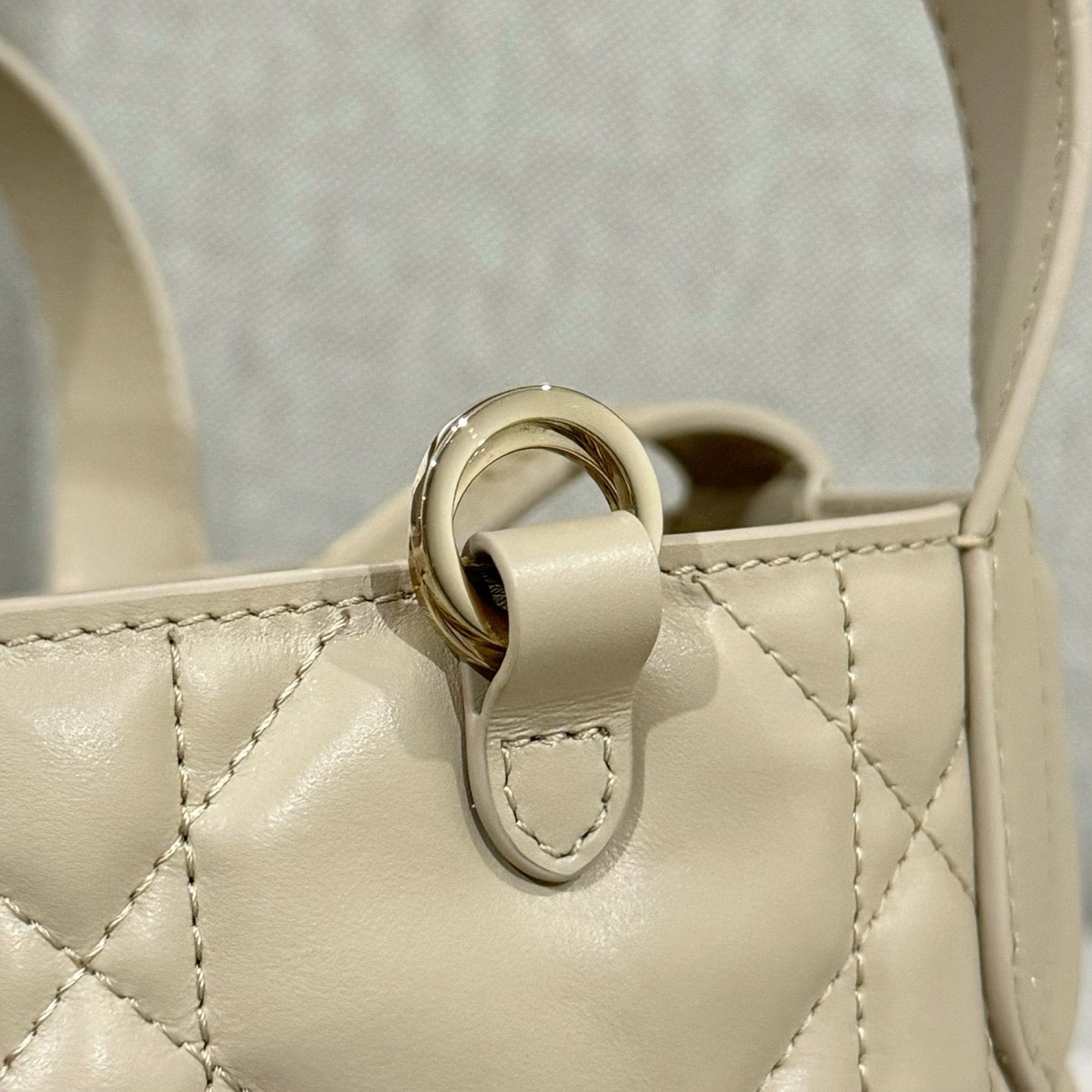 Dior Toujours Mini Bag