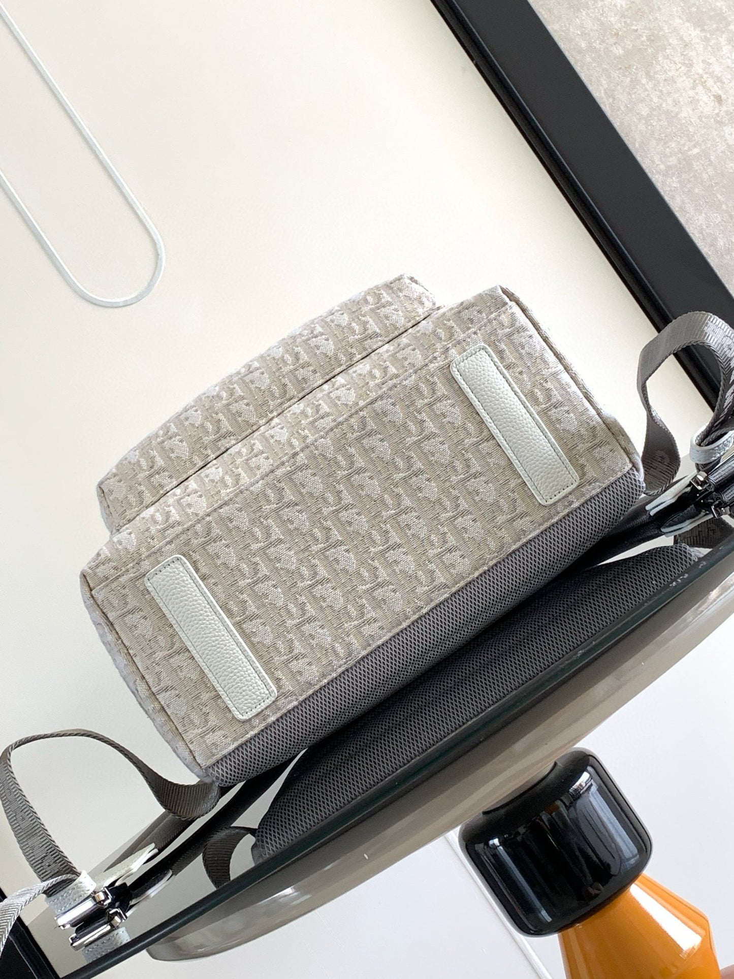 Dior Backpack
