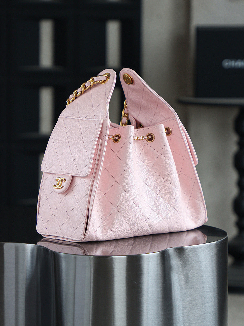 Chanel Hobo 25Bag (small)