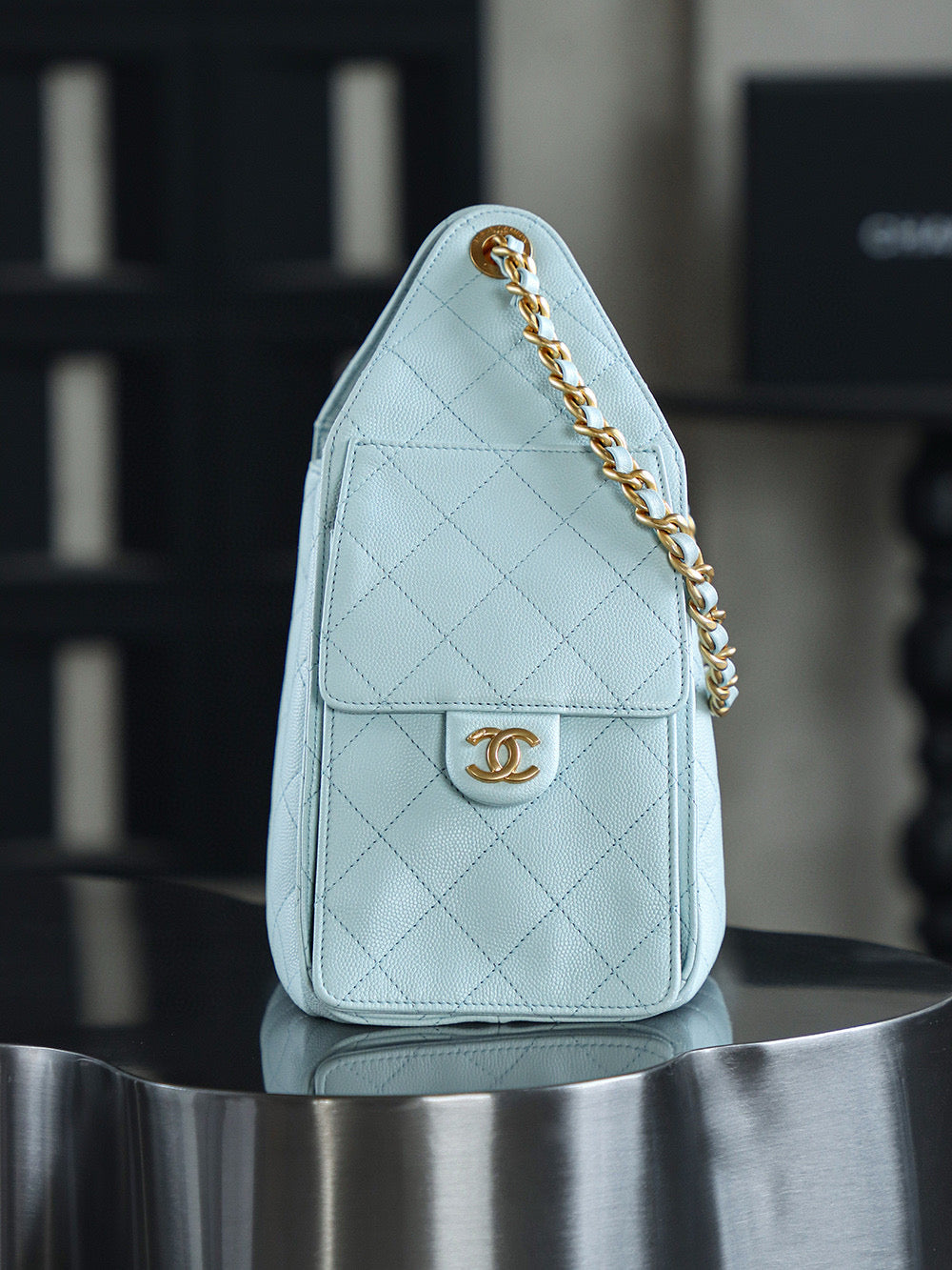 Chanel Hobo 25Bag (small)