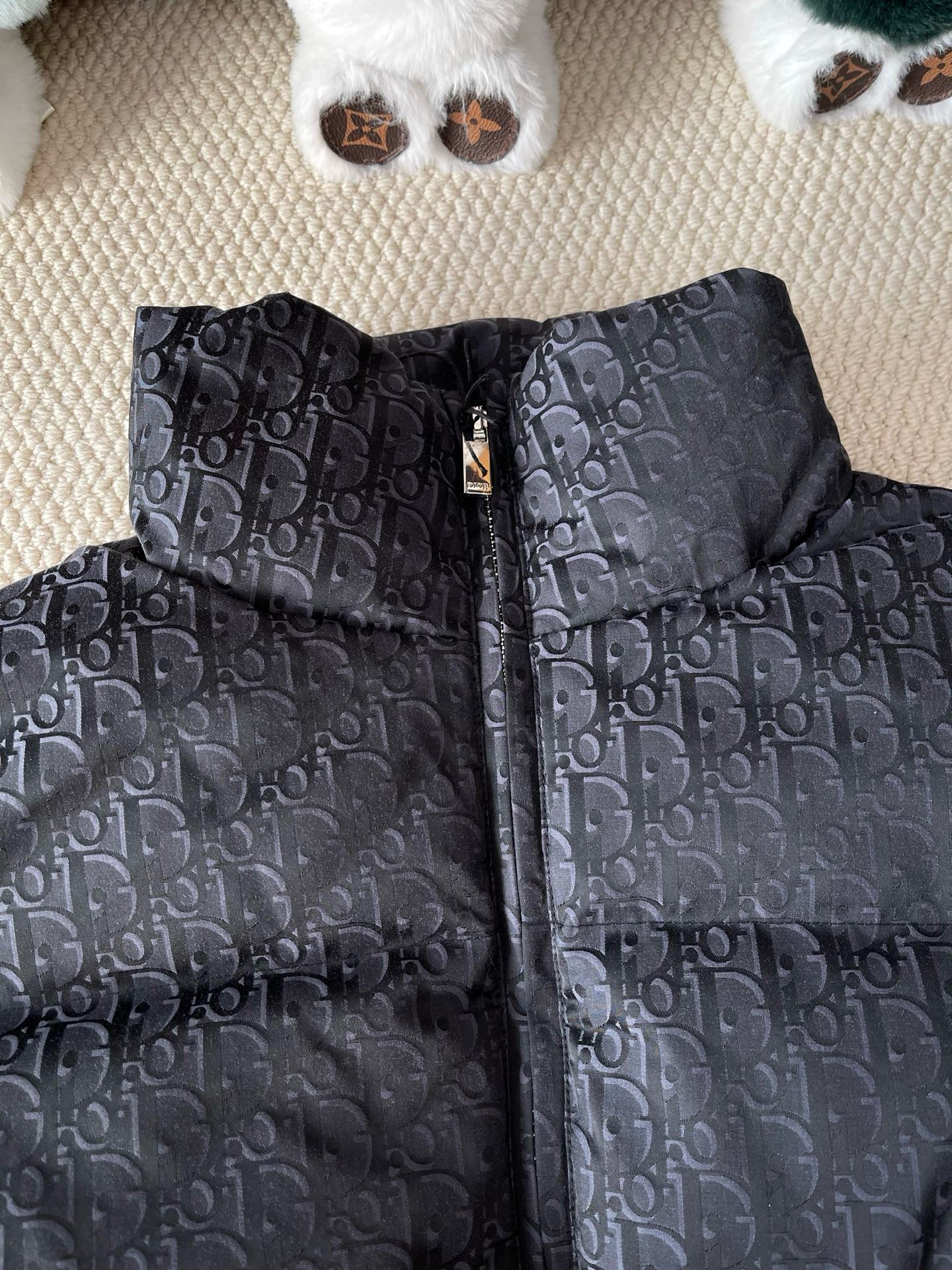 Dior Down Jacket