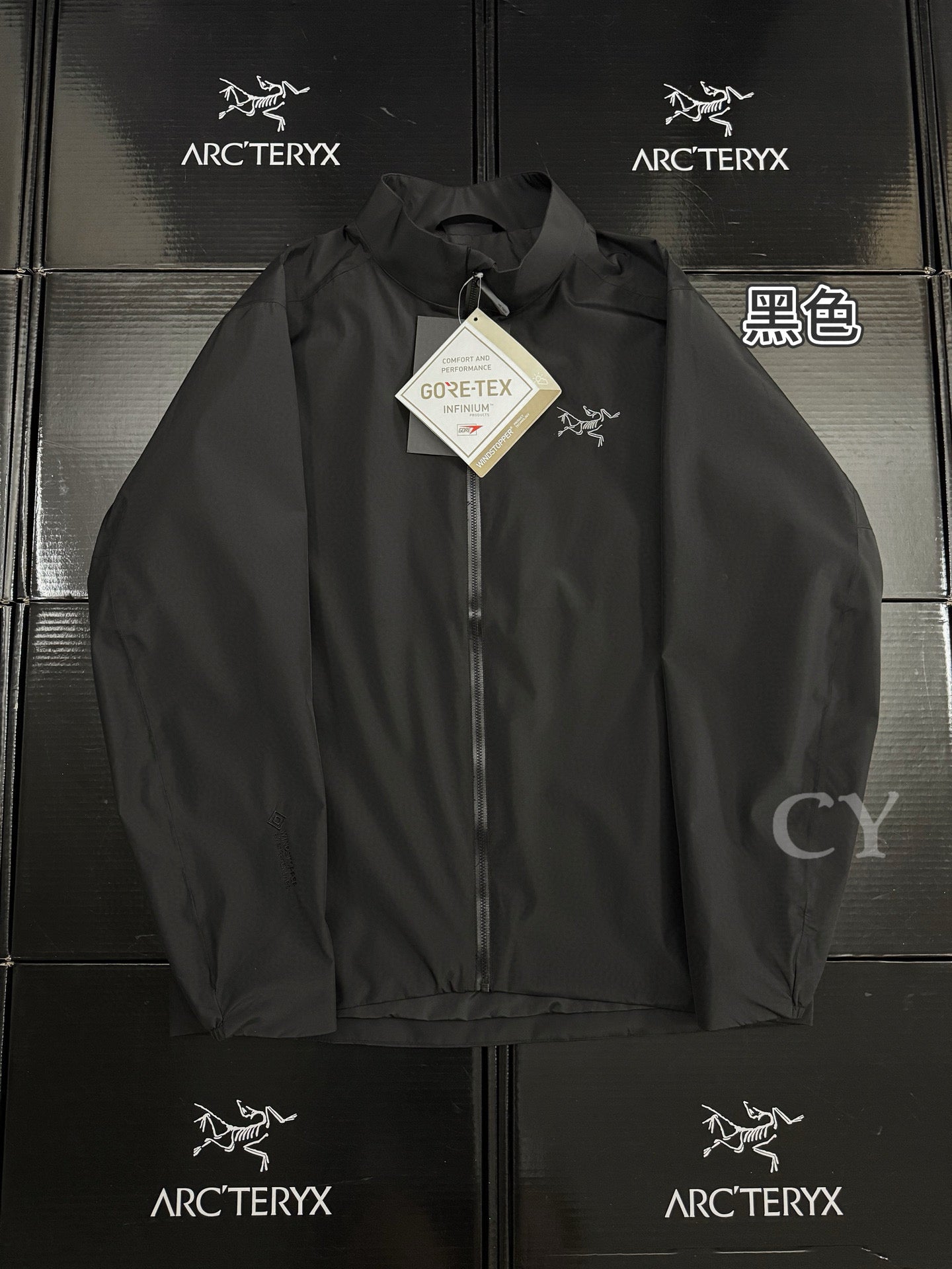 Arcteryx Jacket