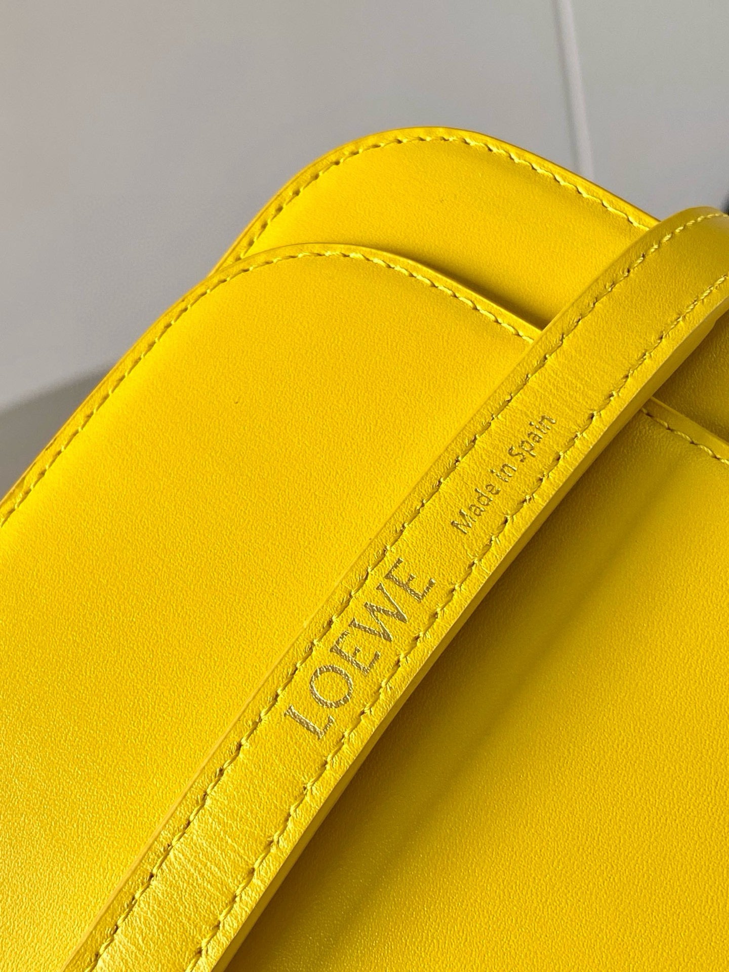 Loewe Goya Leather