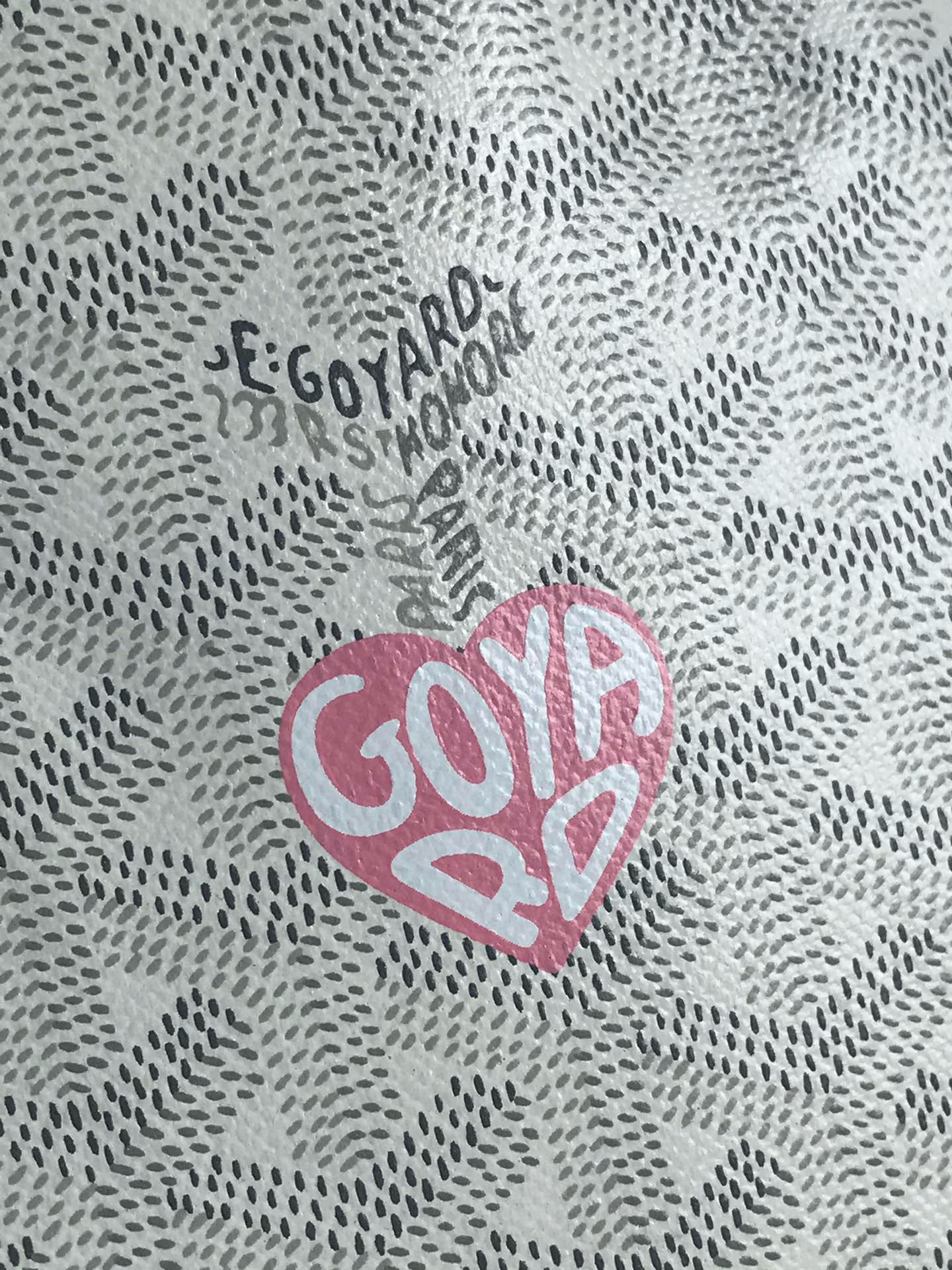 Goyard Reversible Anjou Mini Bag