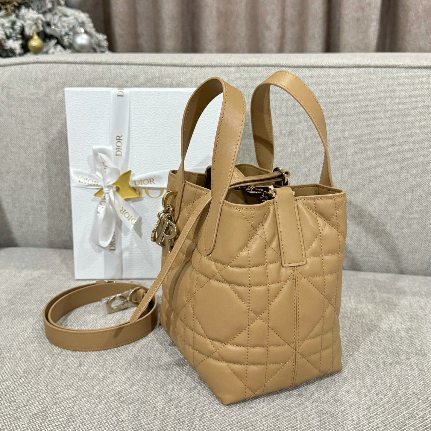 Dior Toujours Bag