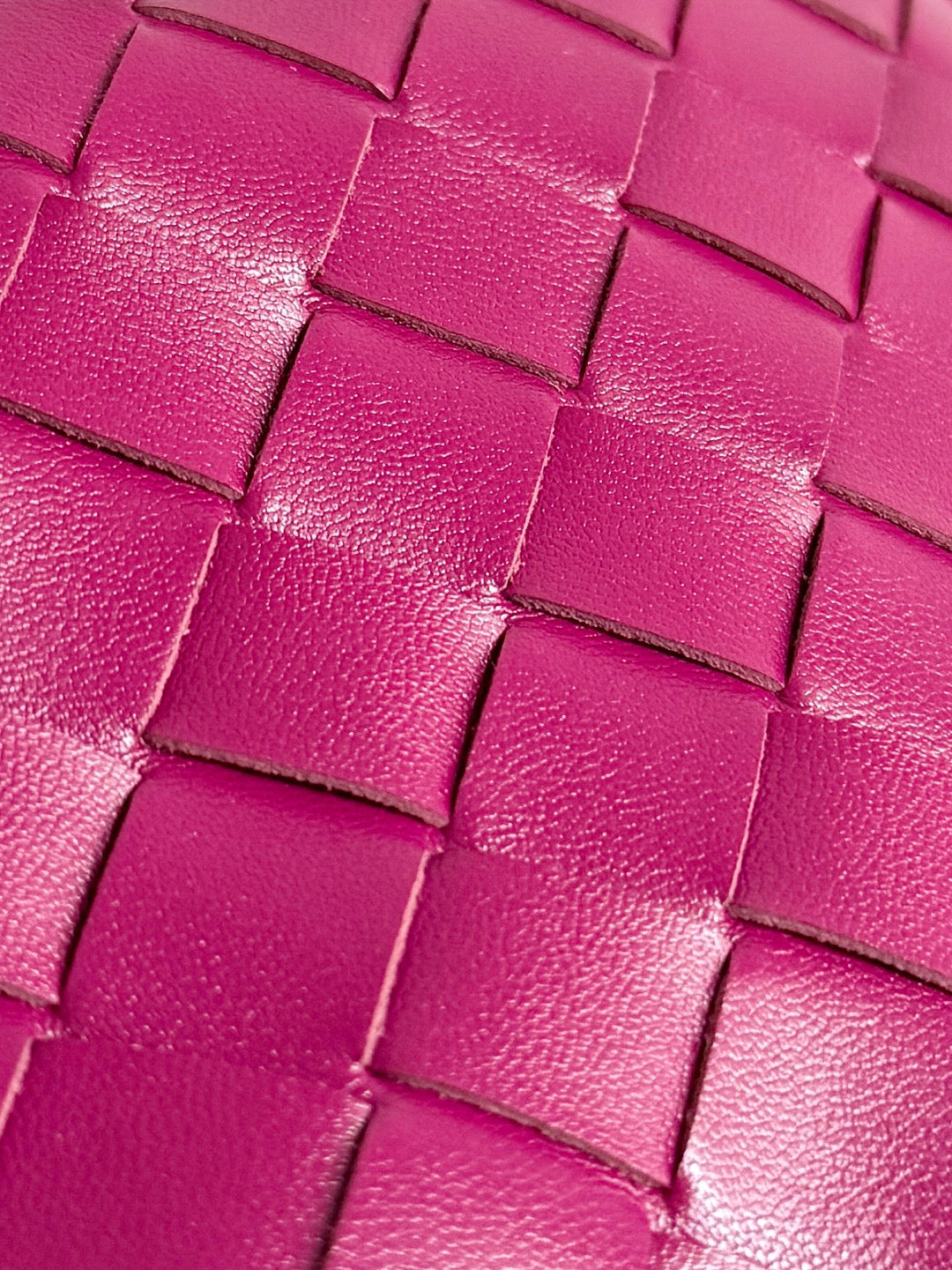 Bottega Veneta Dustbag