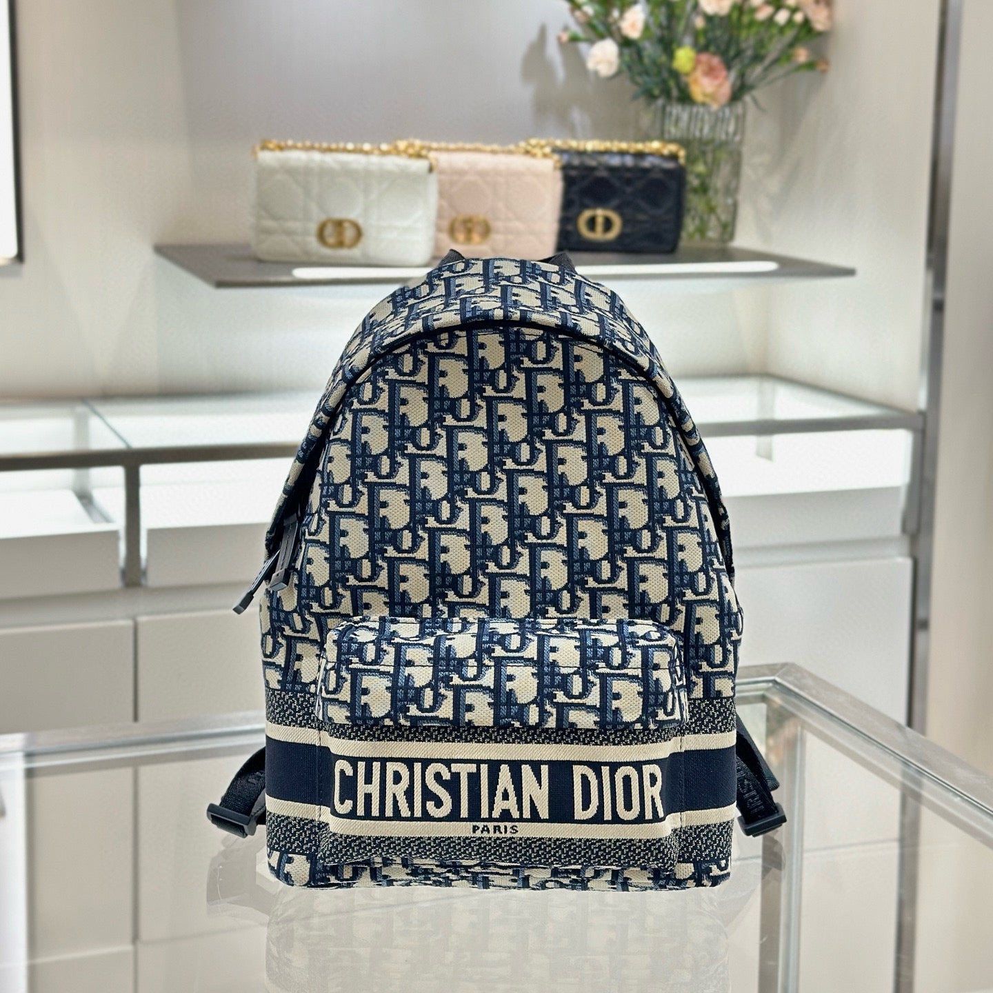 Dior Backpack