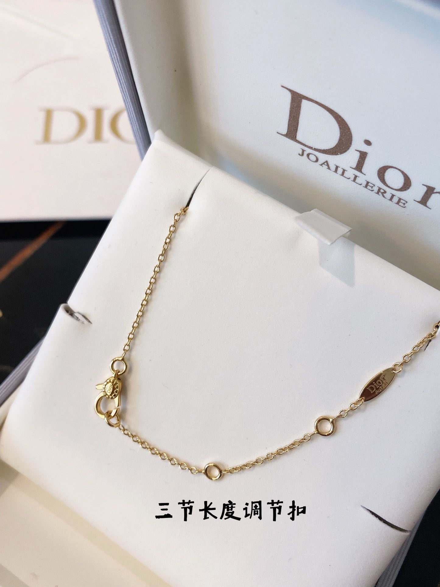 Dior Necklace