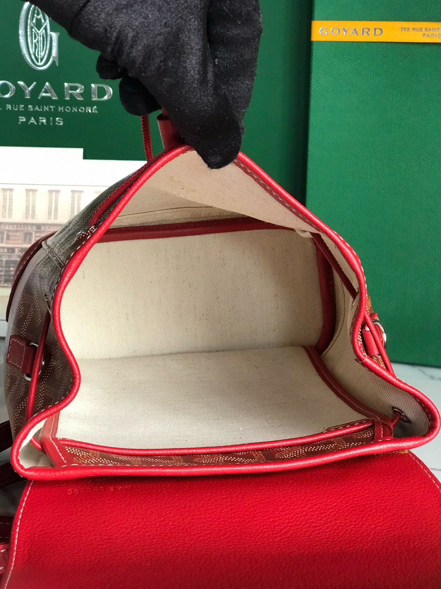 Goyard Mini Alpin Backpack