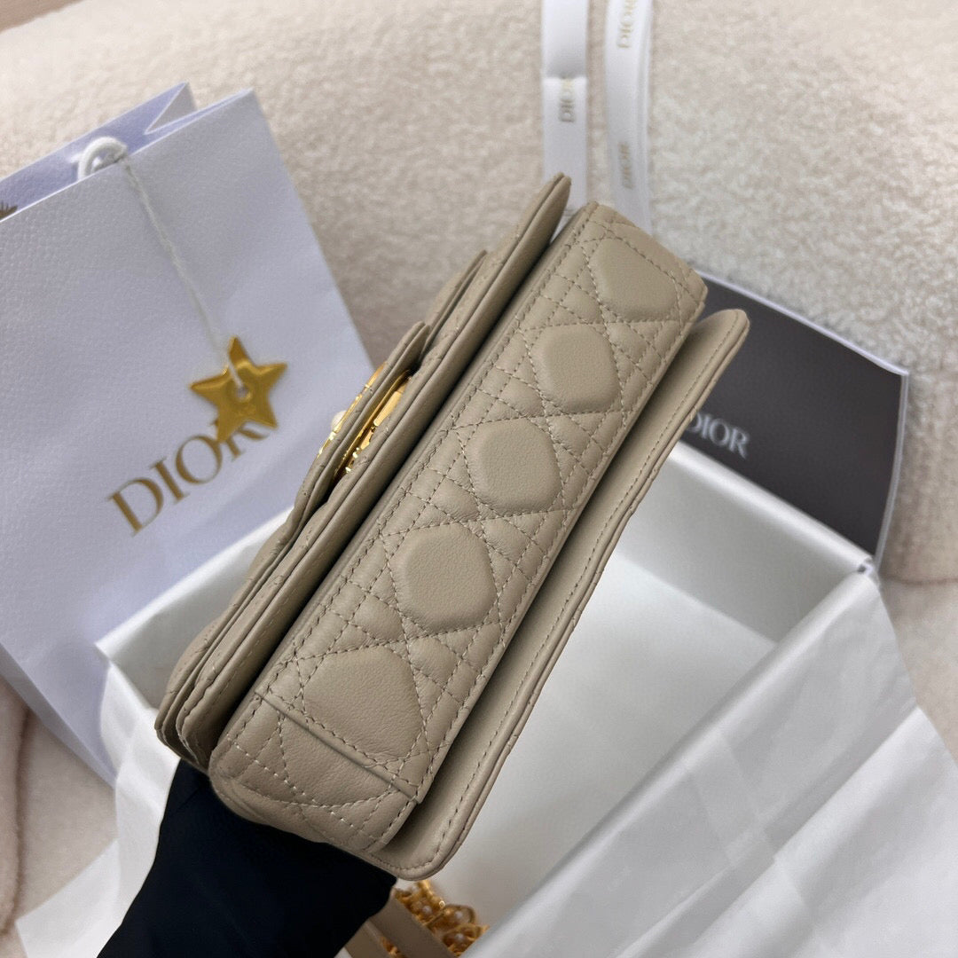 Dior Mini Jolie
