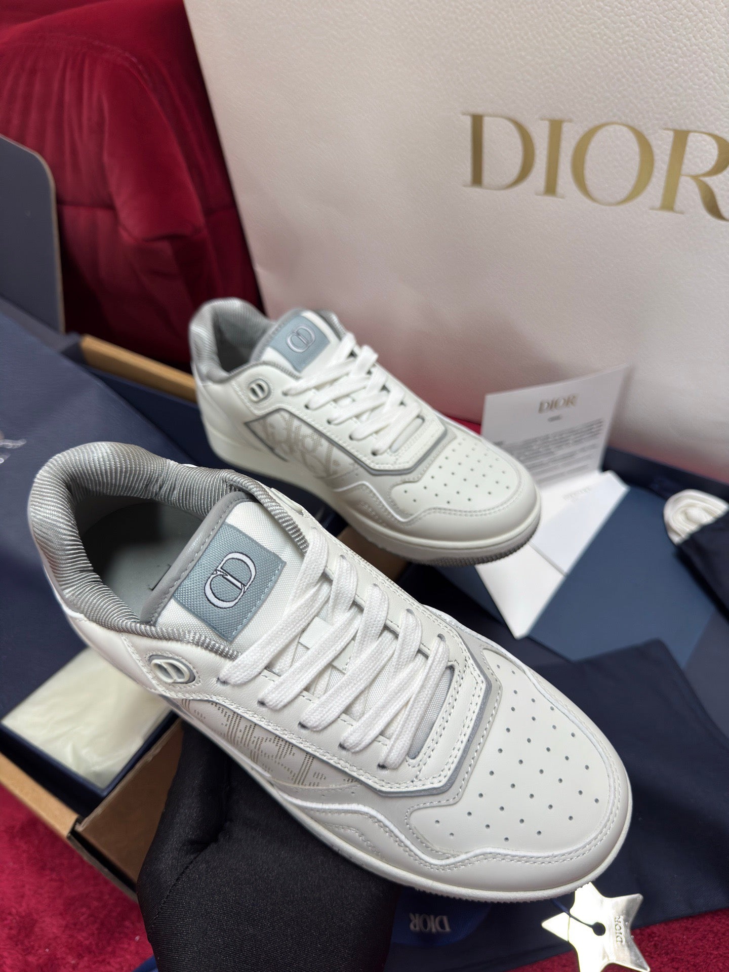 Dior Sneaker