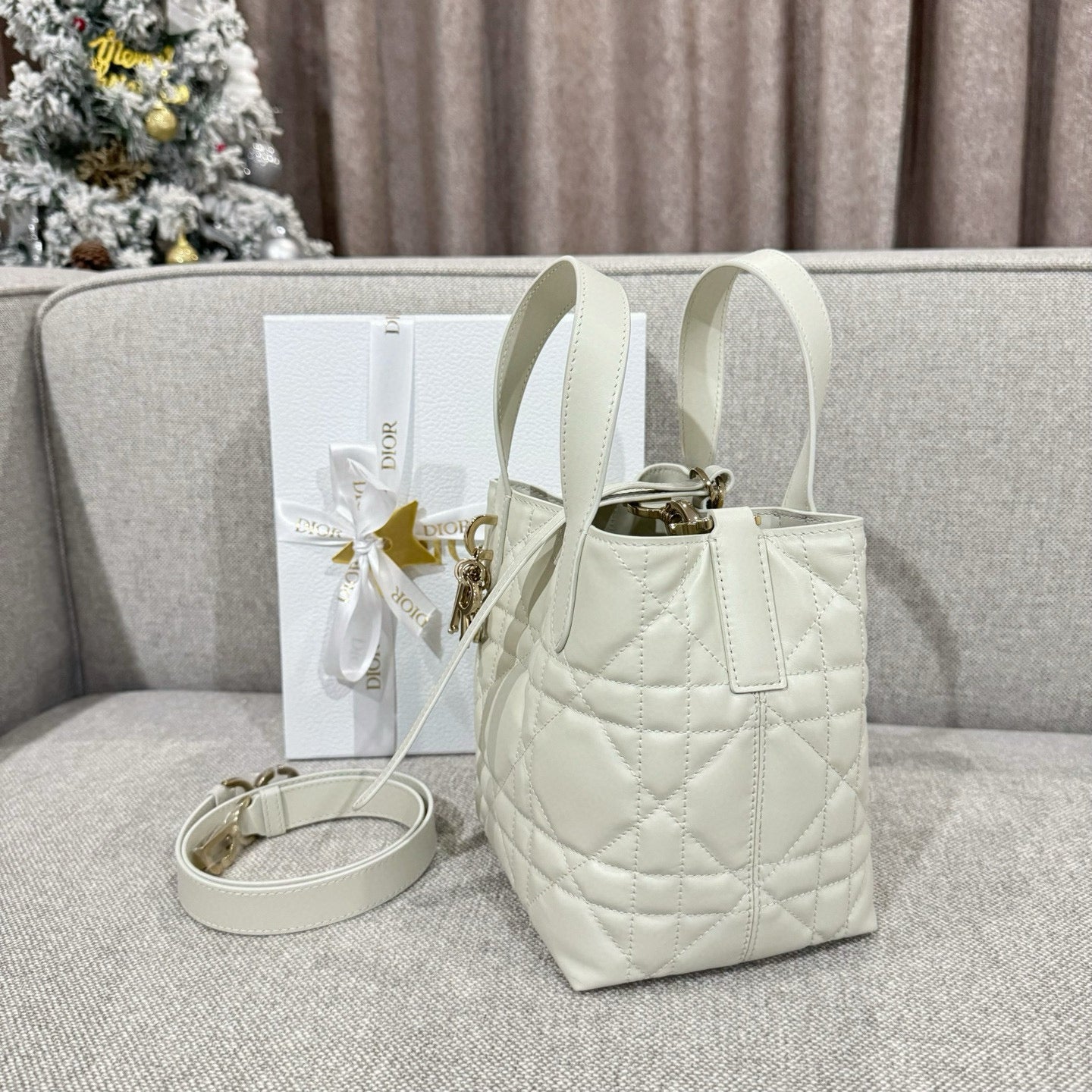 Dior Toujours Mini Bag