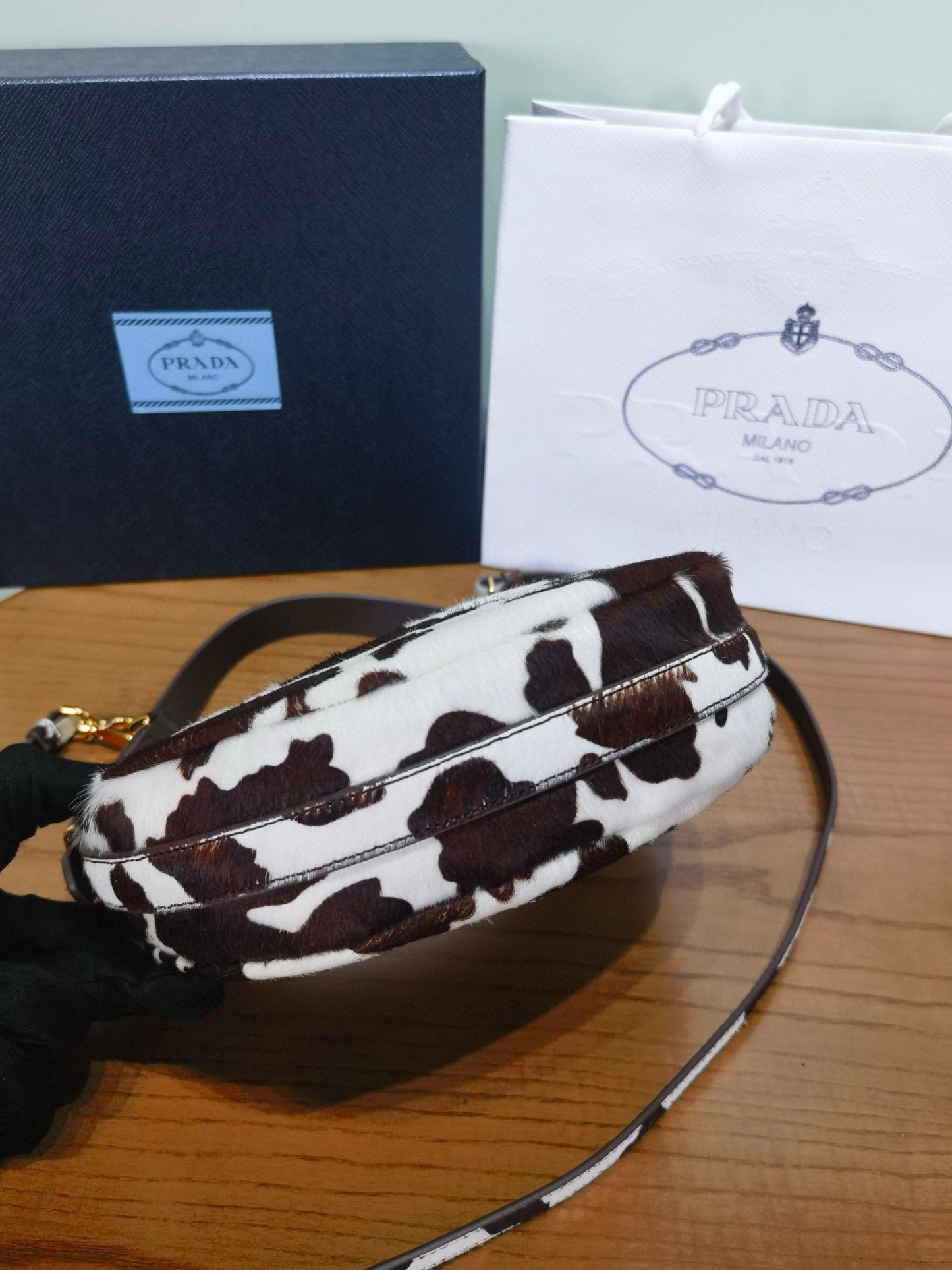 Prada Arque Moon Bag