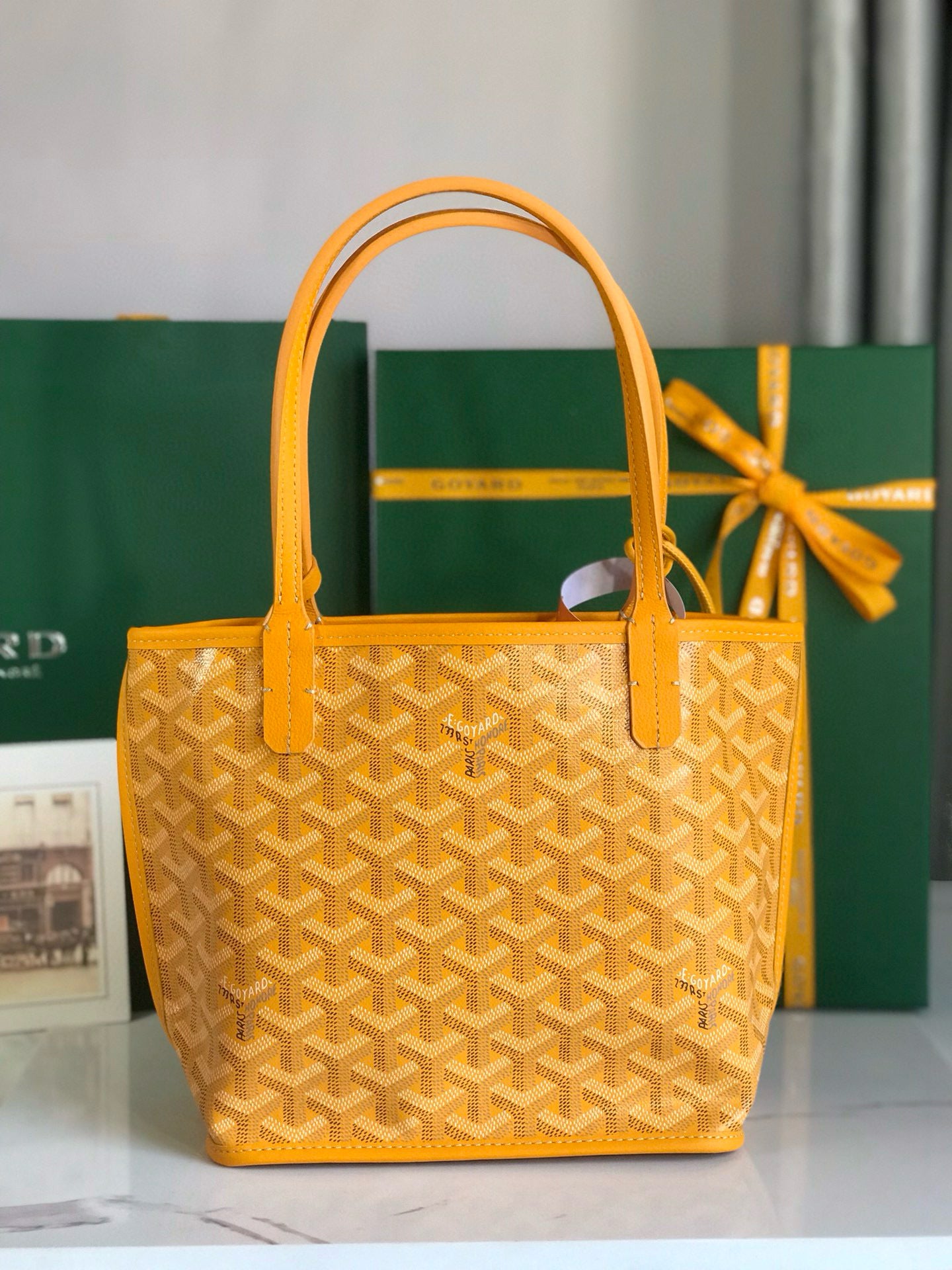 GOYARD ANJOU MINI 20*20*10