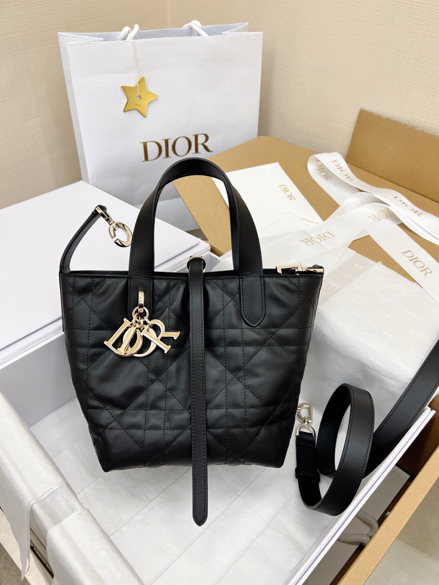 Dior Toujours Bag