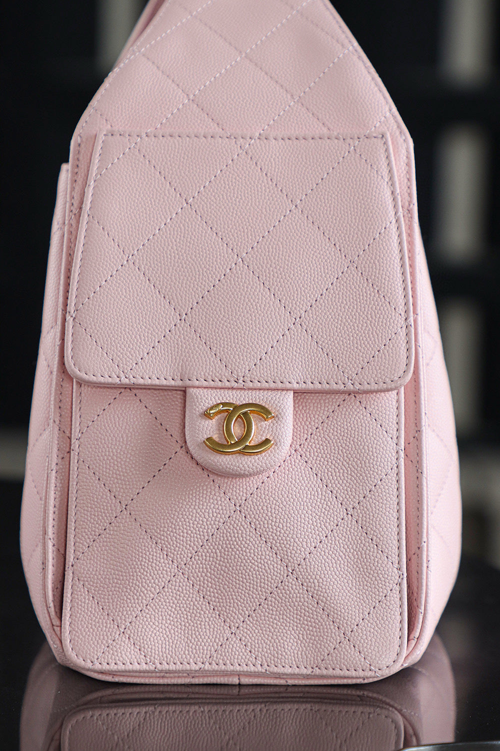 Chanel Hobo 25Bag (small)