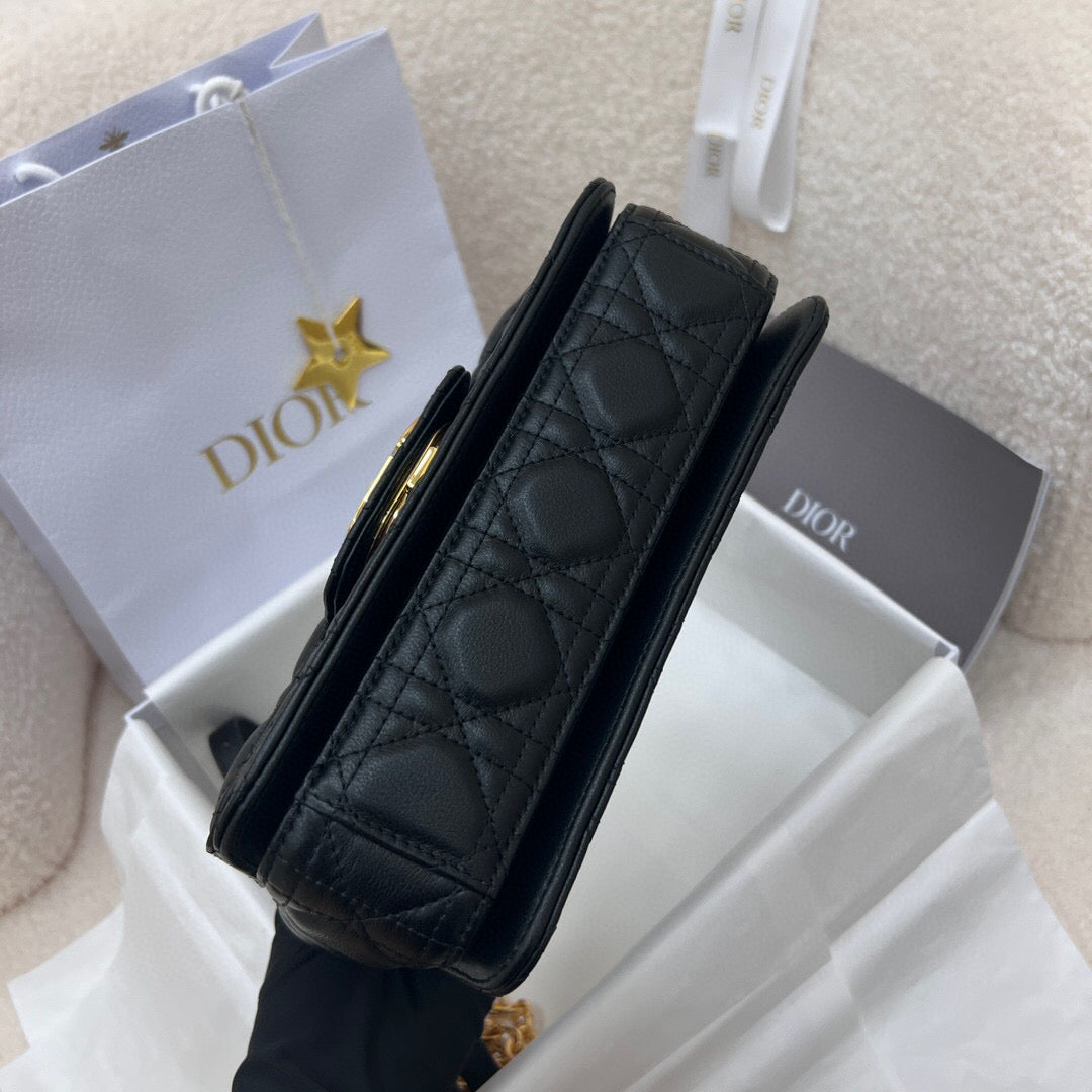 Dior Mini Jolie